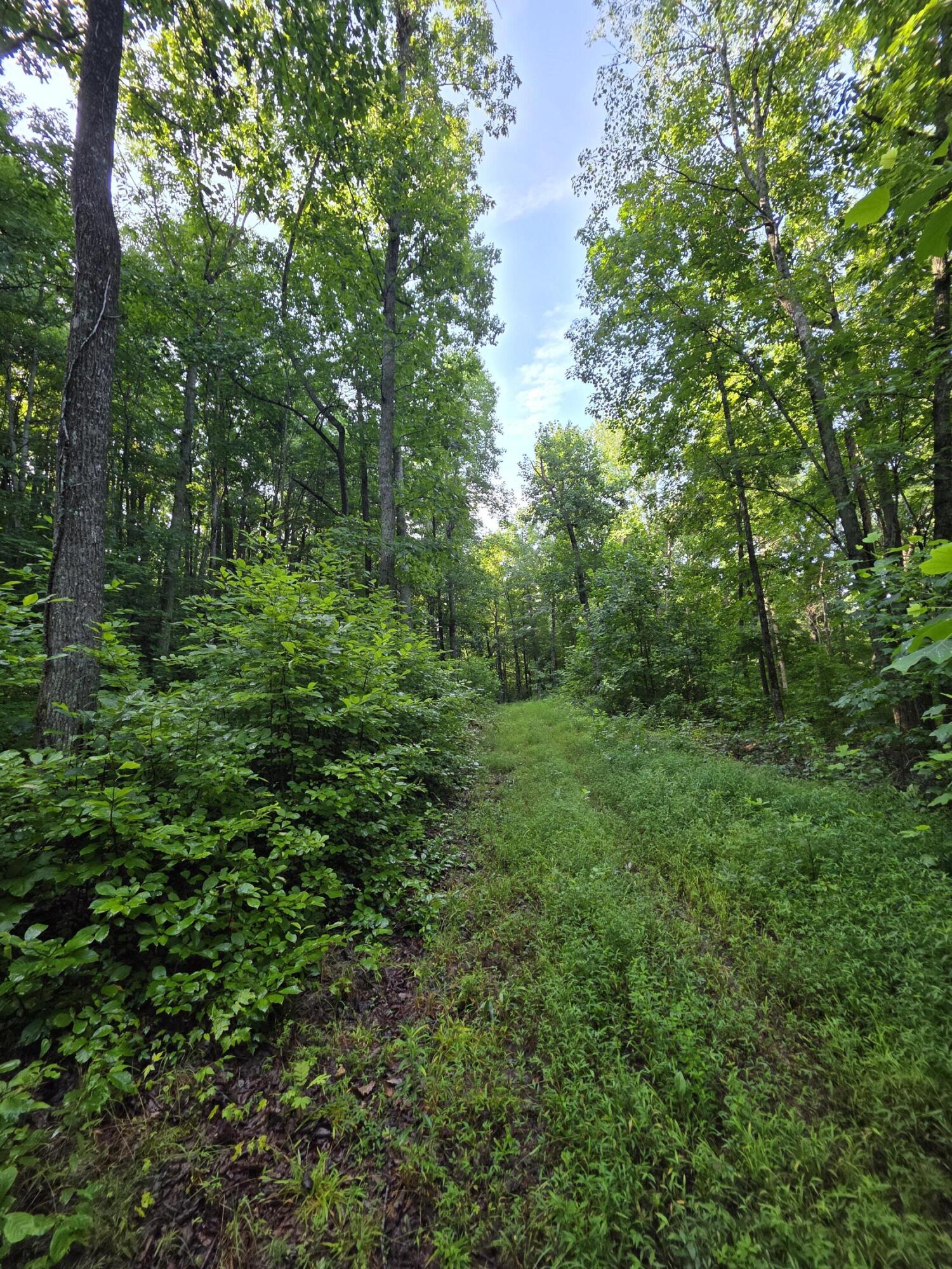 2453 Ky-1258 Property Photo 6