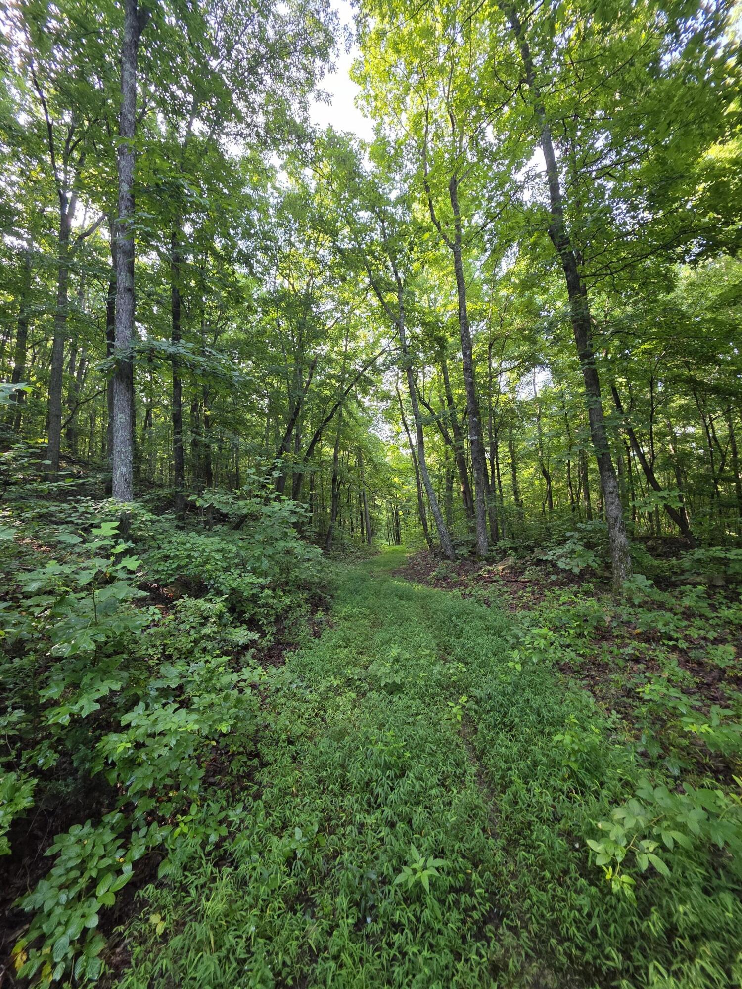 2453 Ky-1258 Property Photo 7