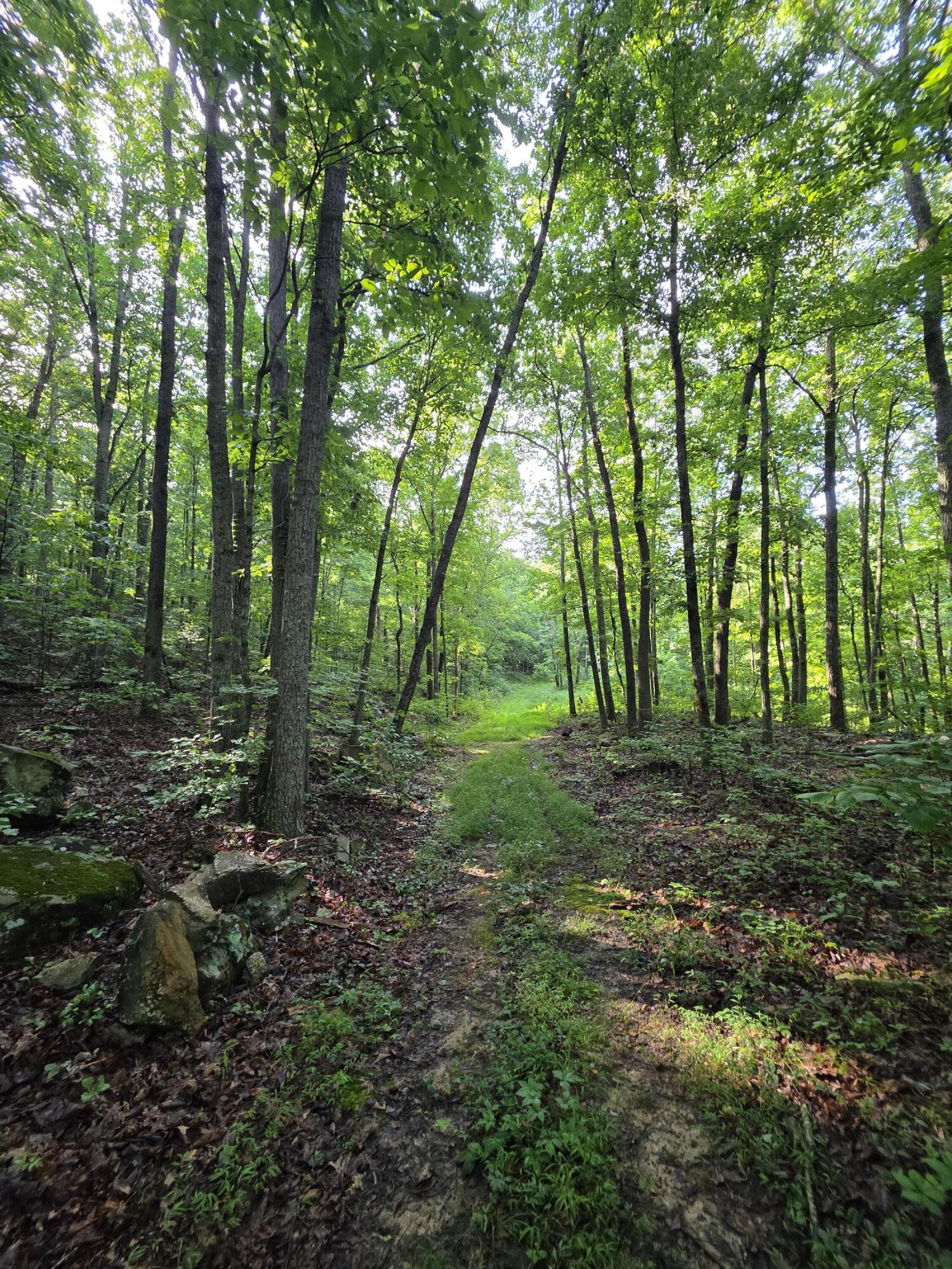 2453 Ky-1258 Property Photo 8