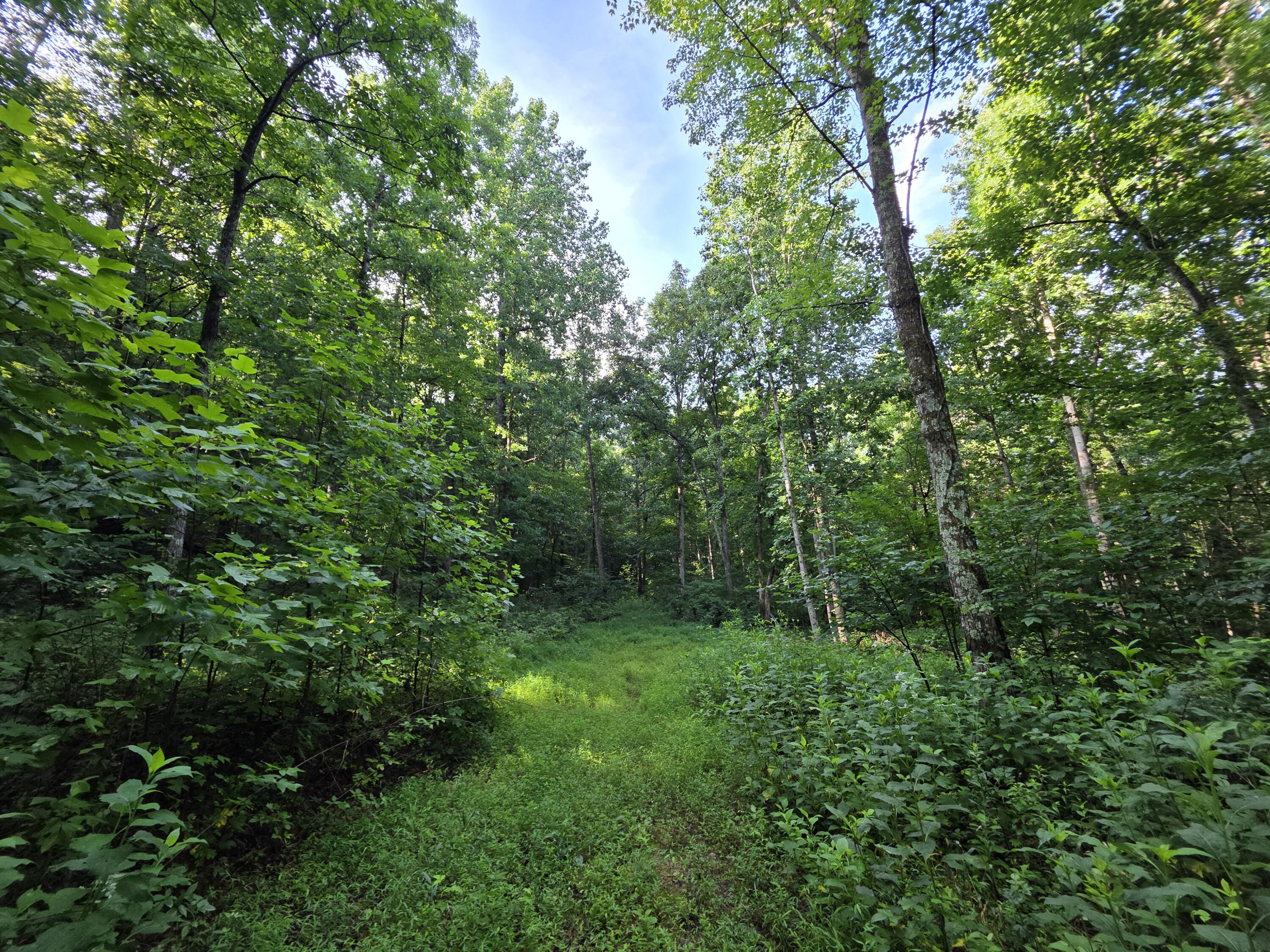 2453 Ky-1258 Property Photo 9