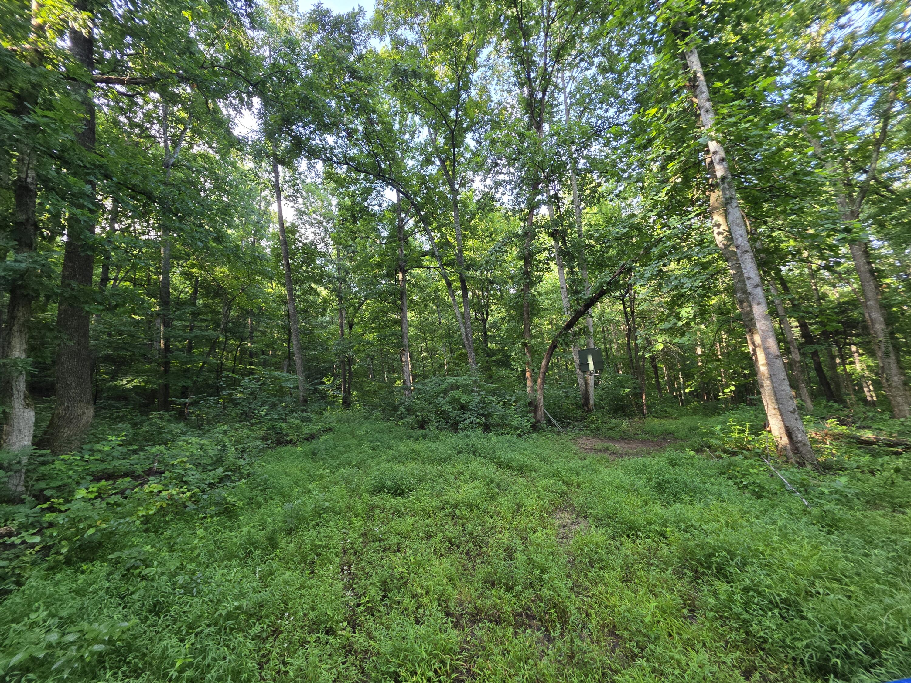 2453 Ky-1258 Property Photo 10