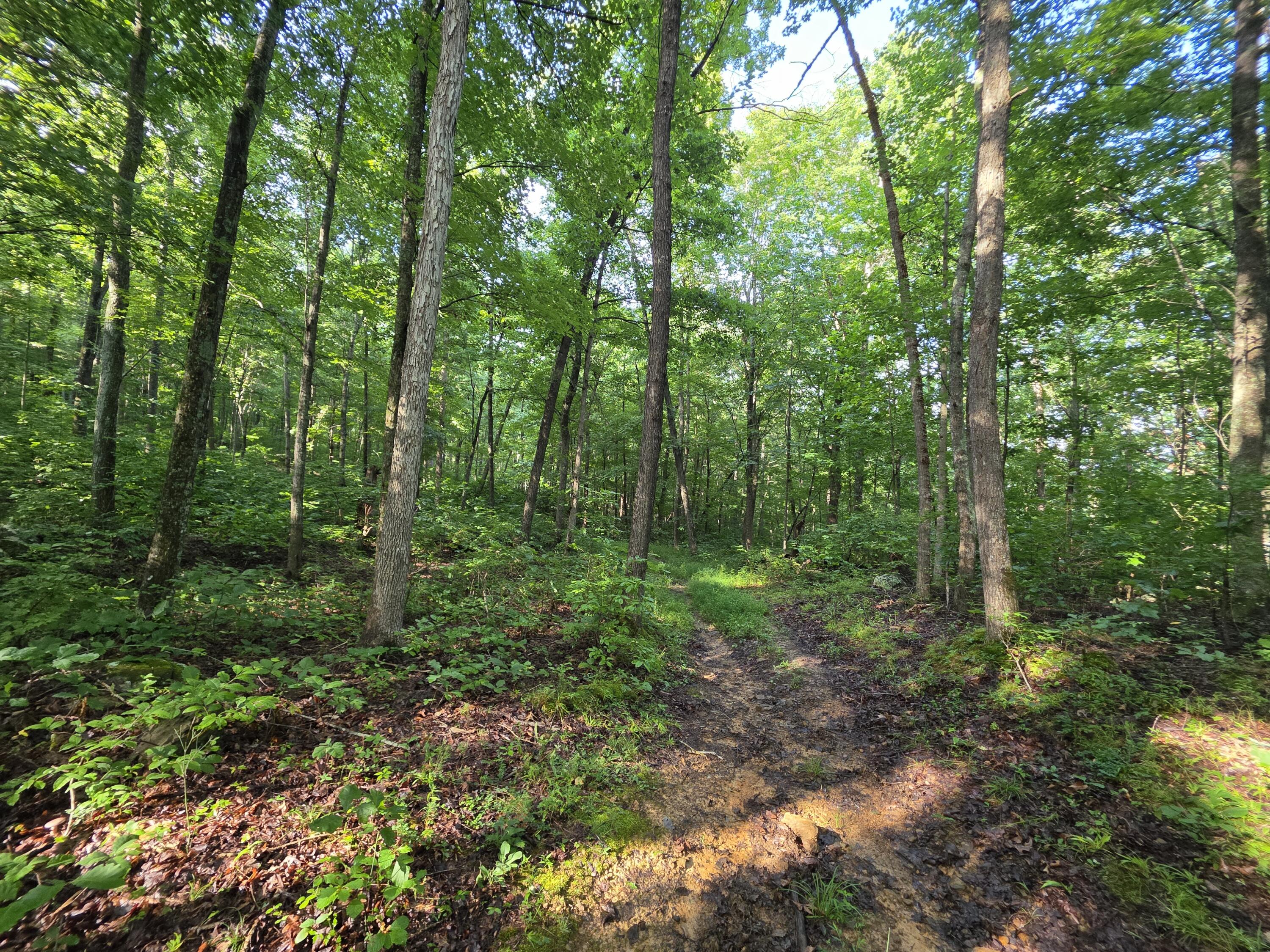 2453 Ky-1258 Property Photo 11