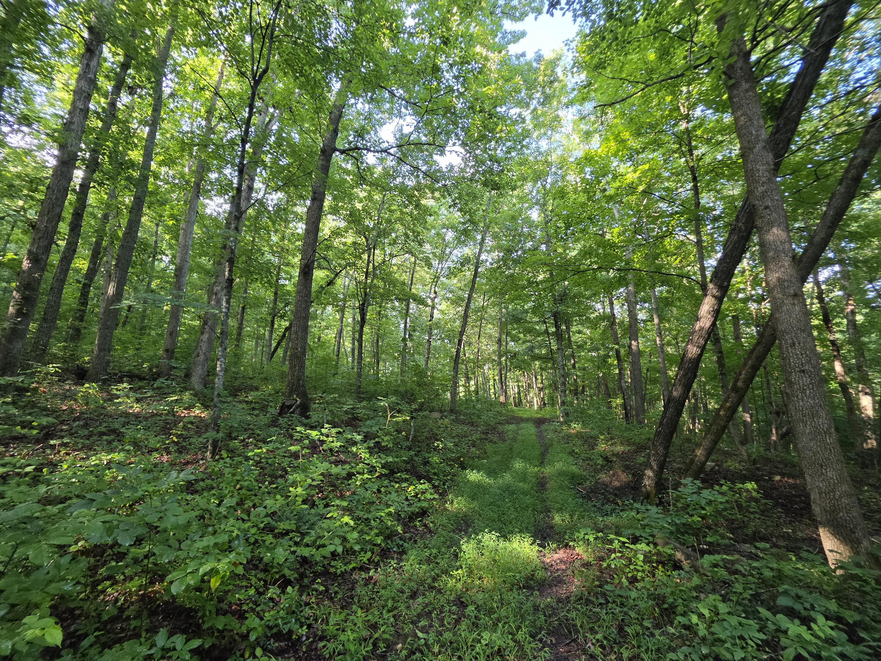 2453 Ky-1258 Property Photo 12