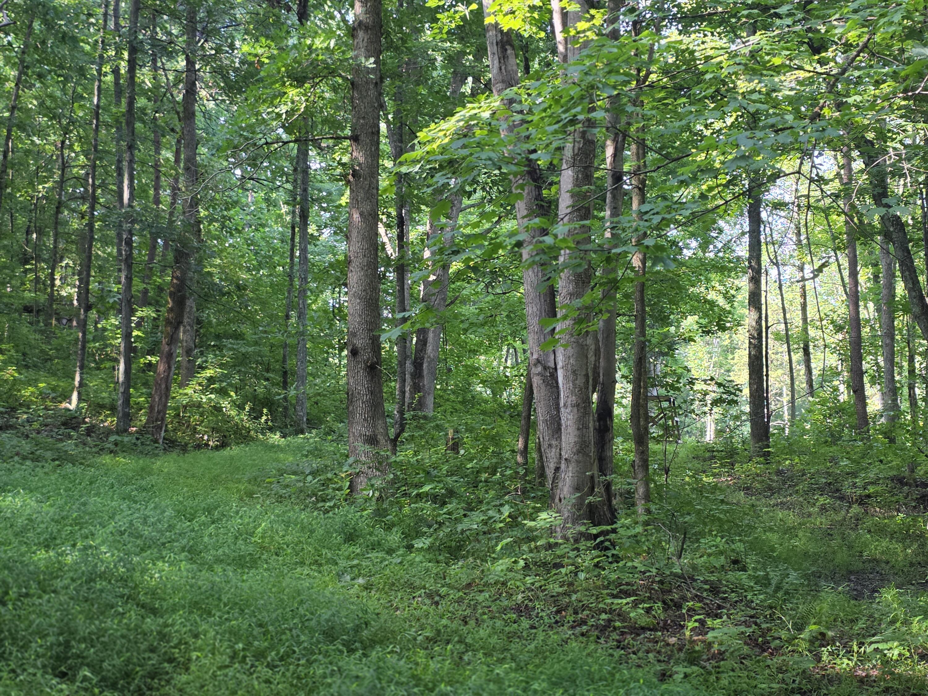 2453 Ky-1258 Property Photo 13