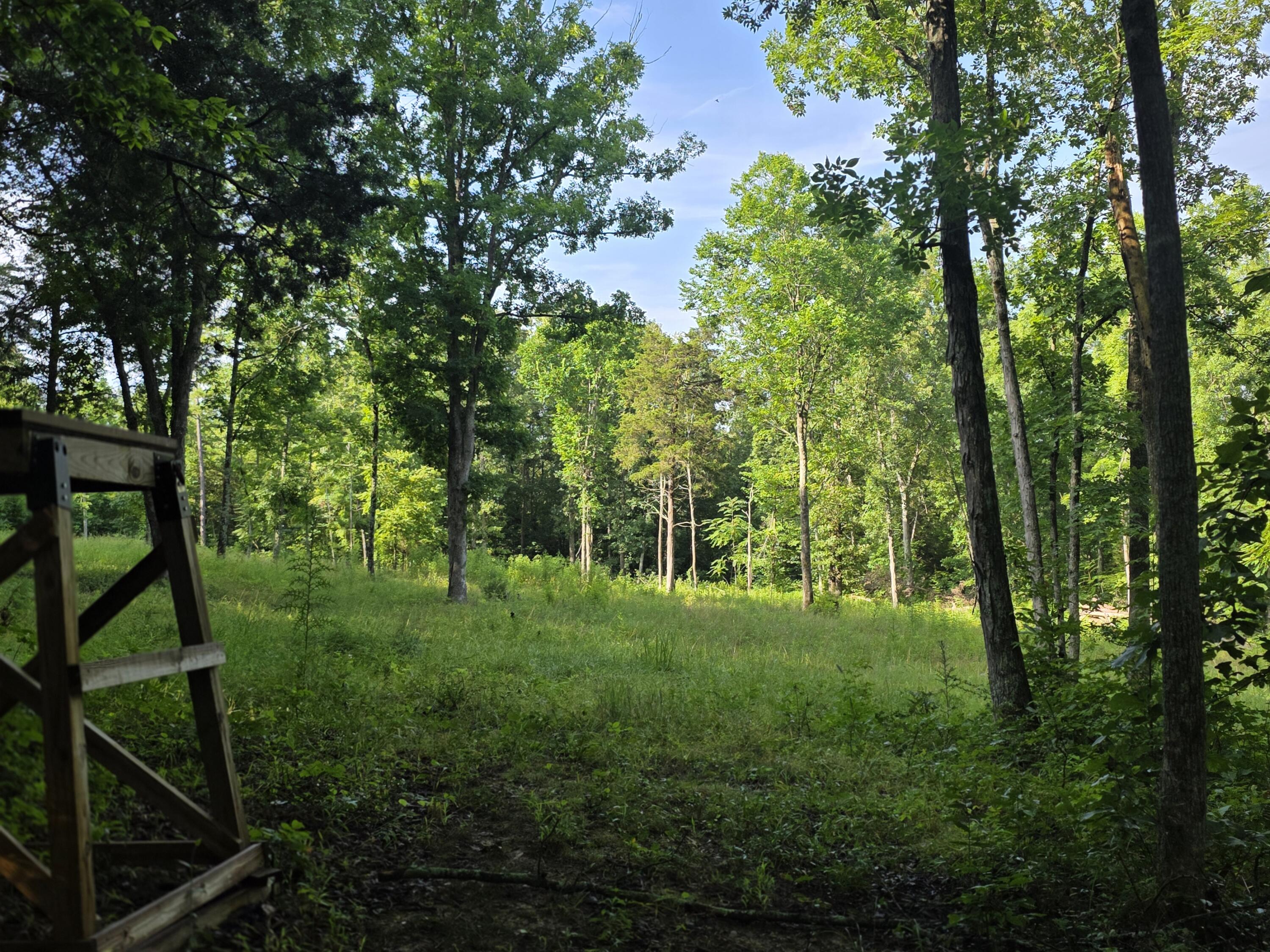 2453 Ky-1258 Property Photo 14