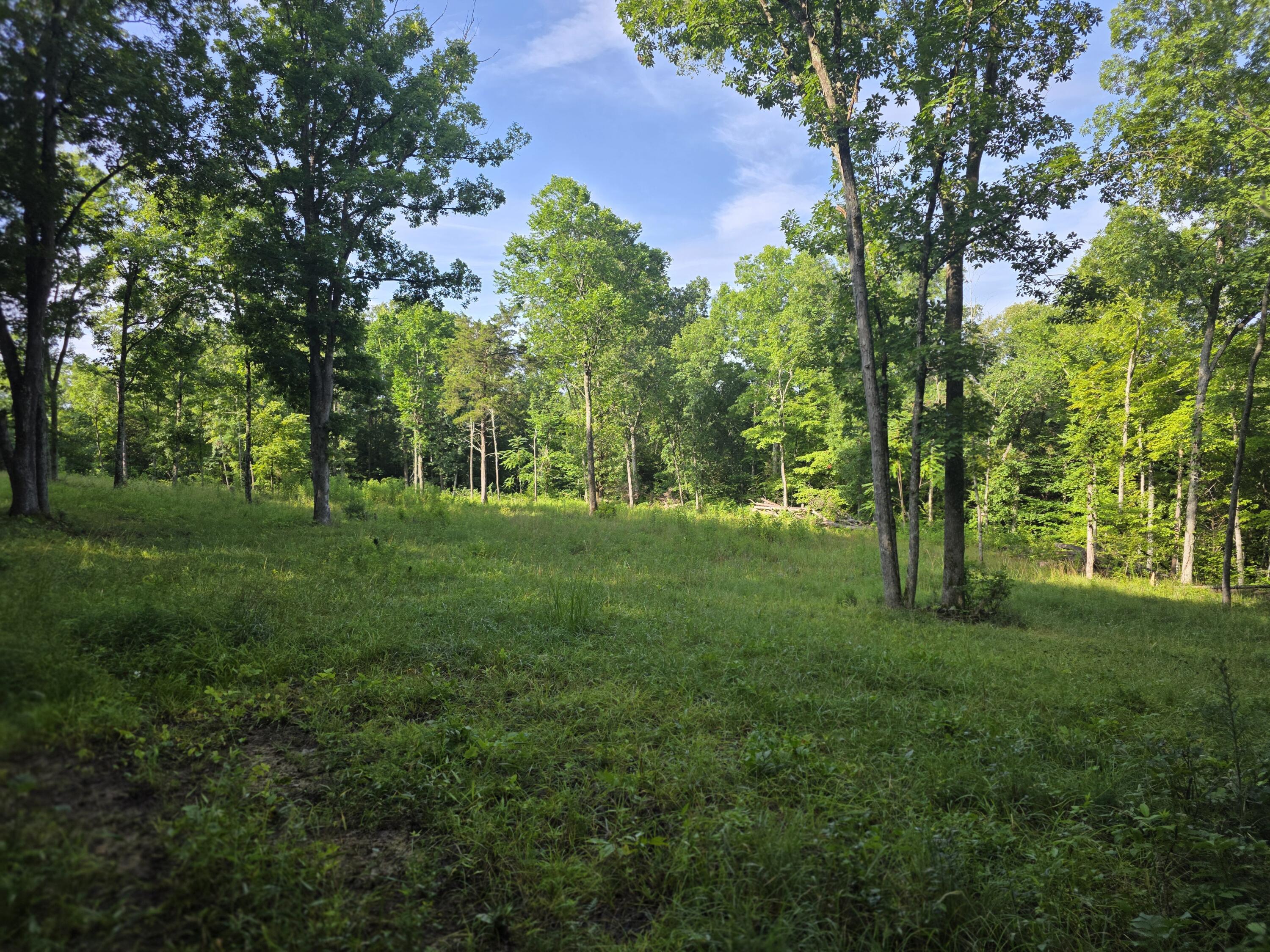 2453 Ky-1258 Property Photo 15