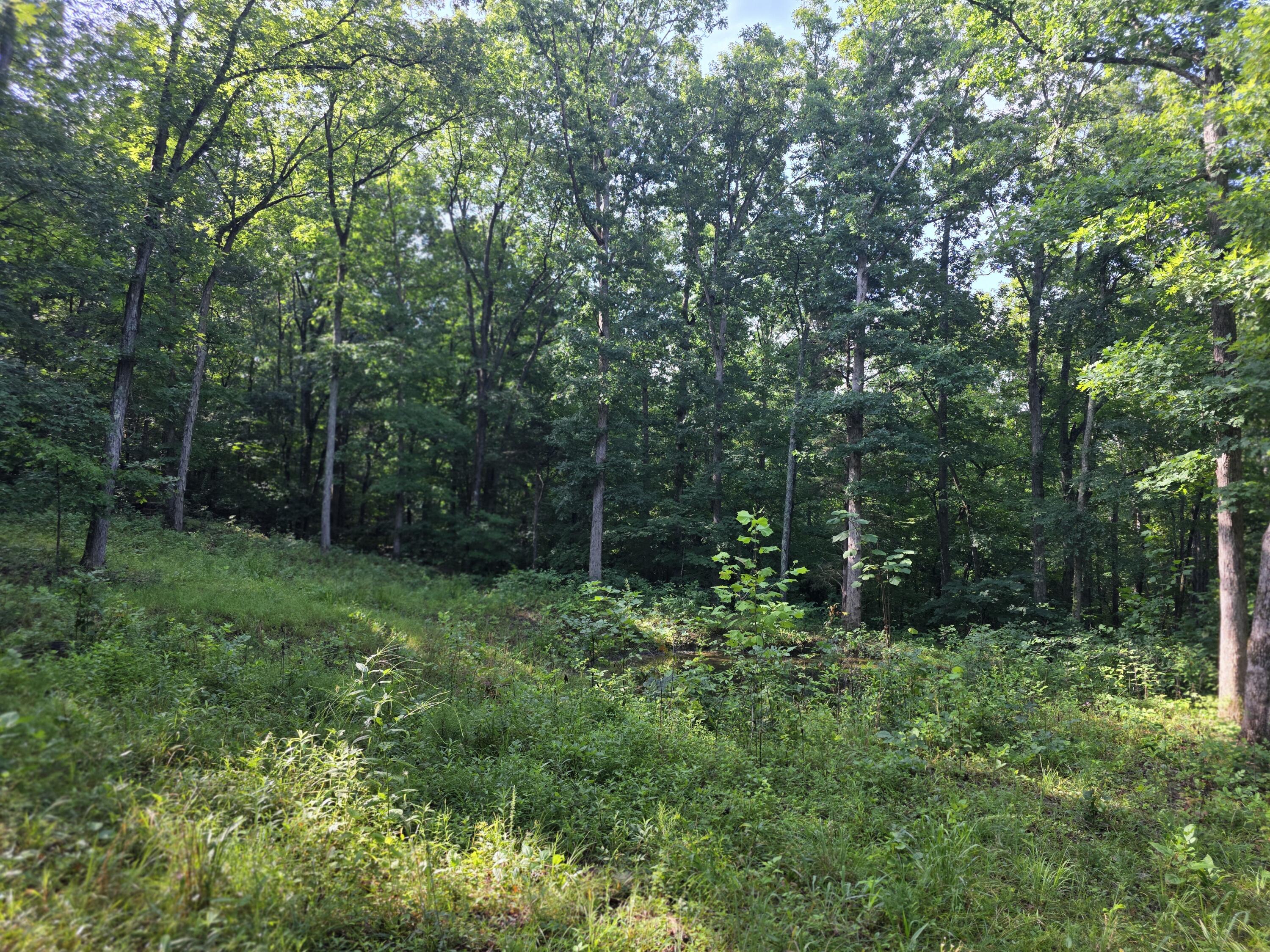 2453 Ky-1258 Property Photo 16