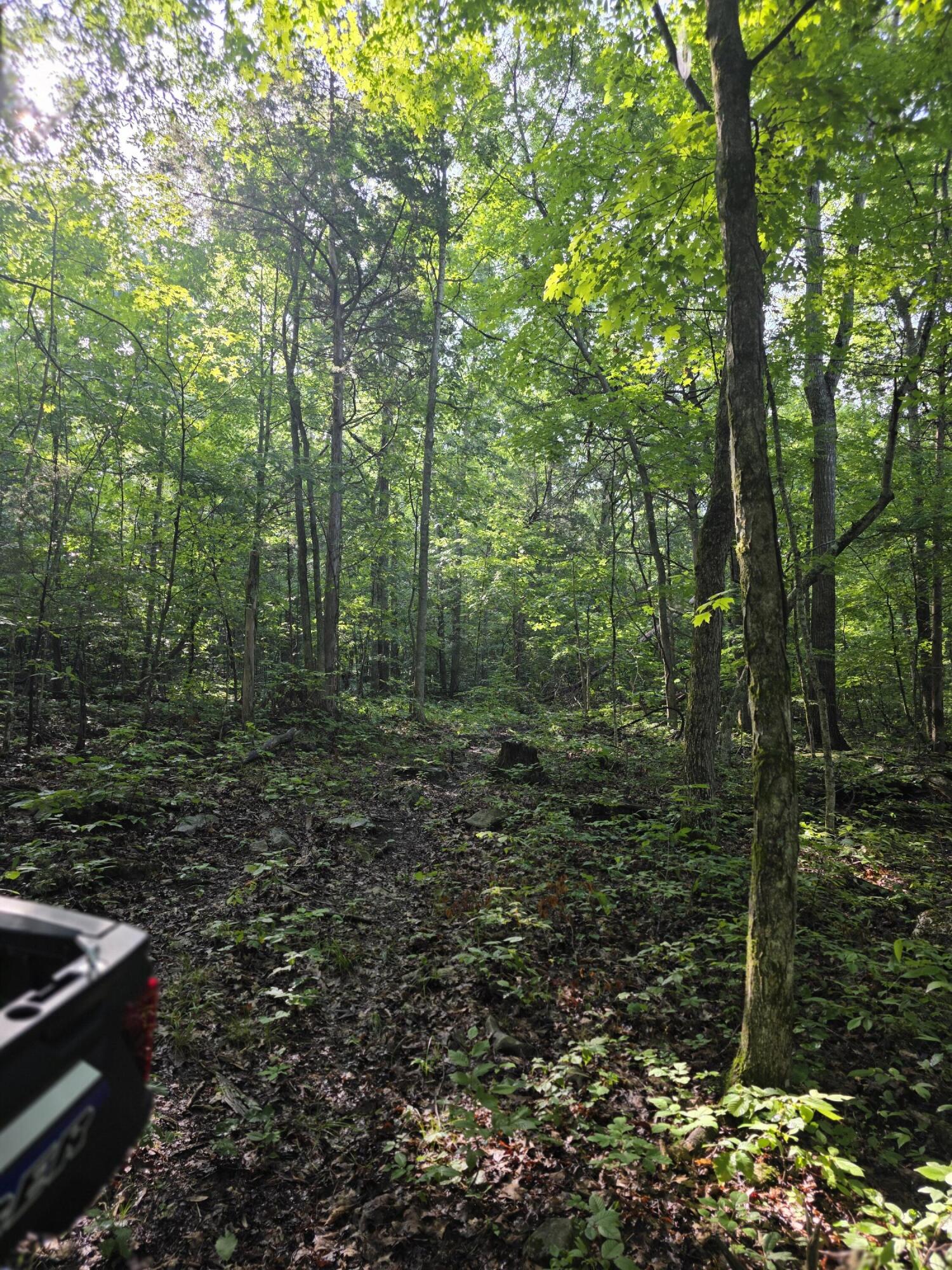 2453 Ky-1258 Property Photo 17