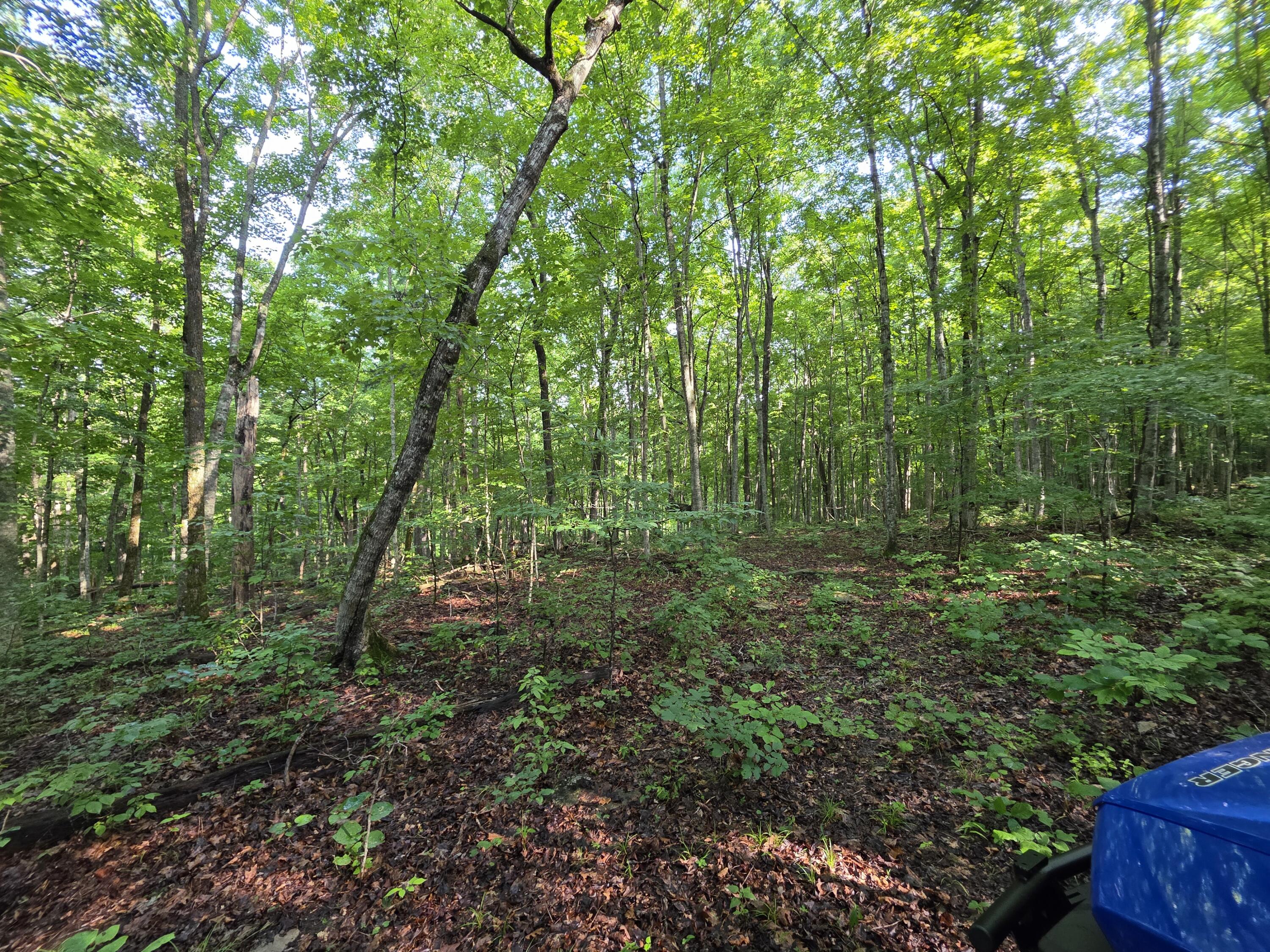 2453 Ky-1258 Property Photo 18