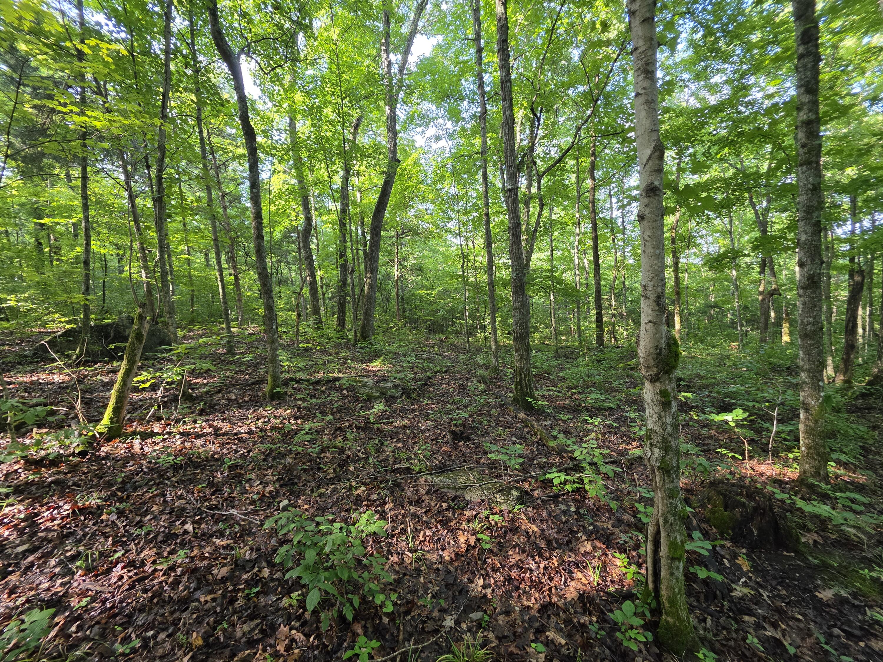 2453 Ky-1258 Property Photo 19