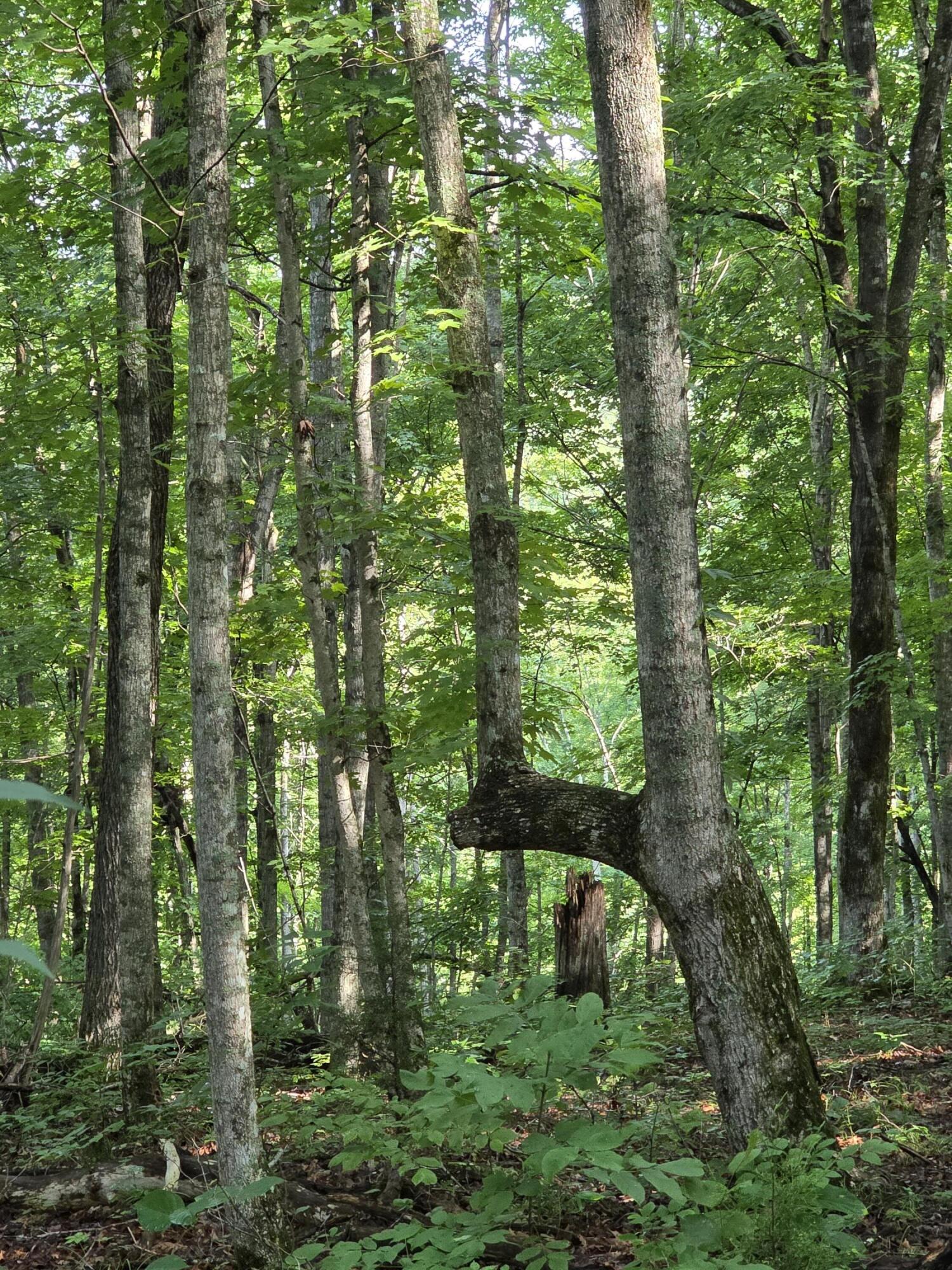 2453 Ky-1258 Property Photo 20