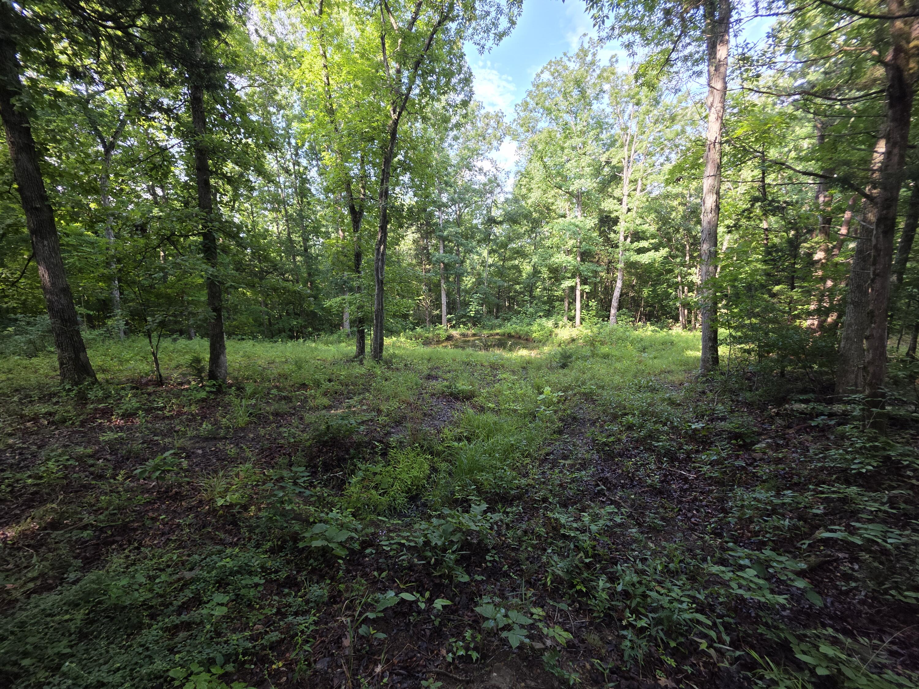 2453 Ky-1258 Property Photo 21