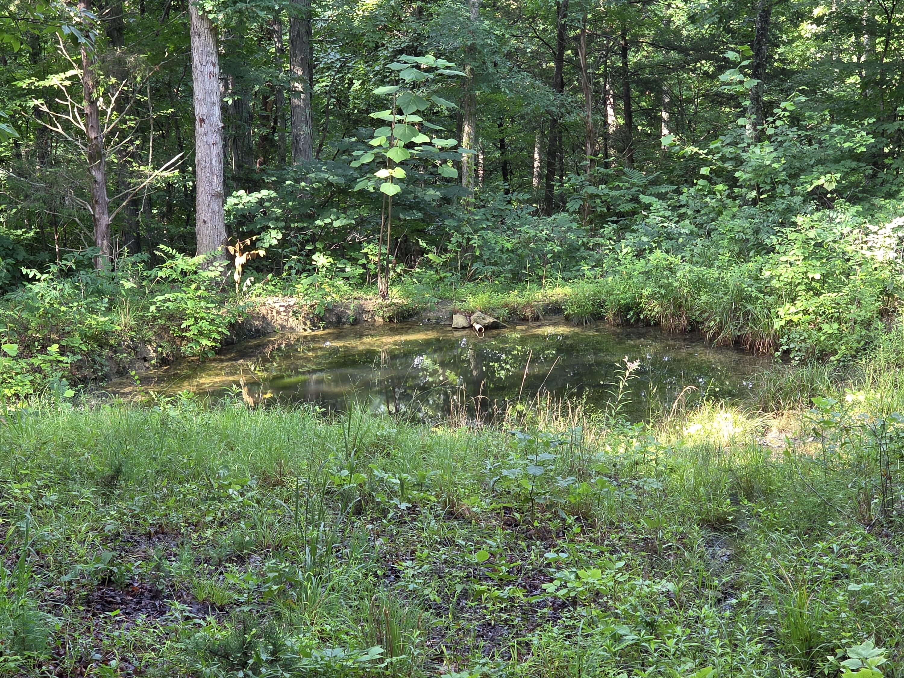 2453 Ky-1258 Property Photo 22
