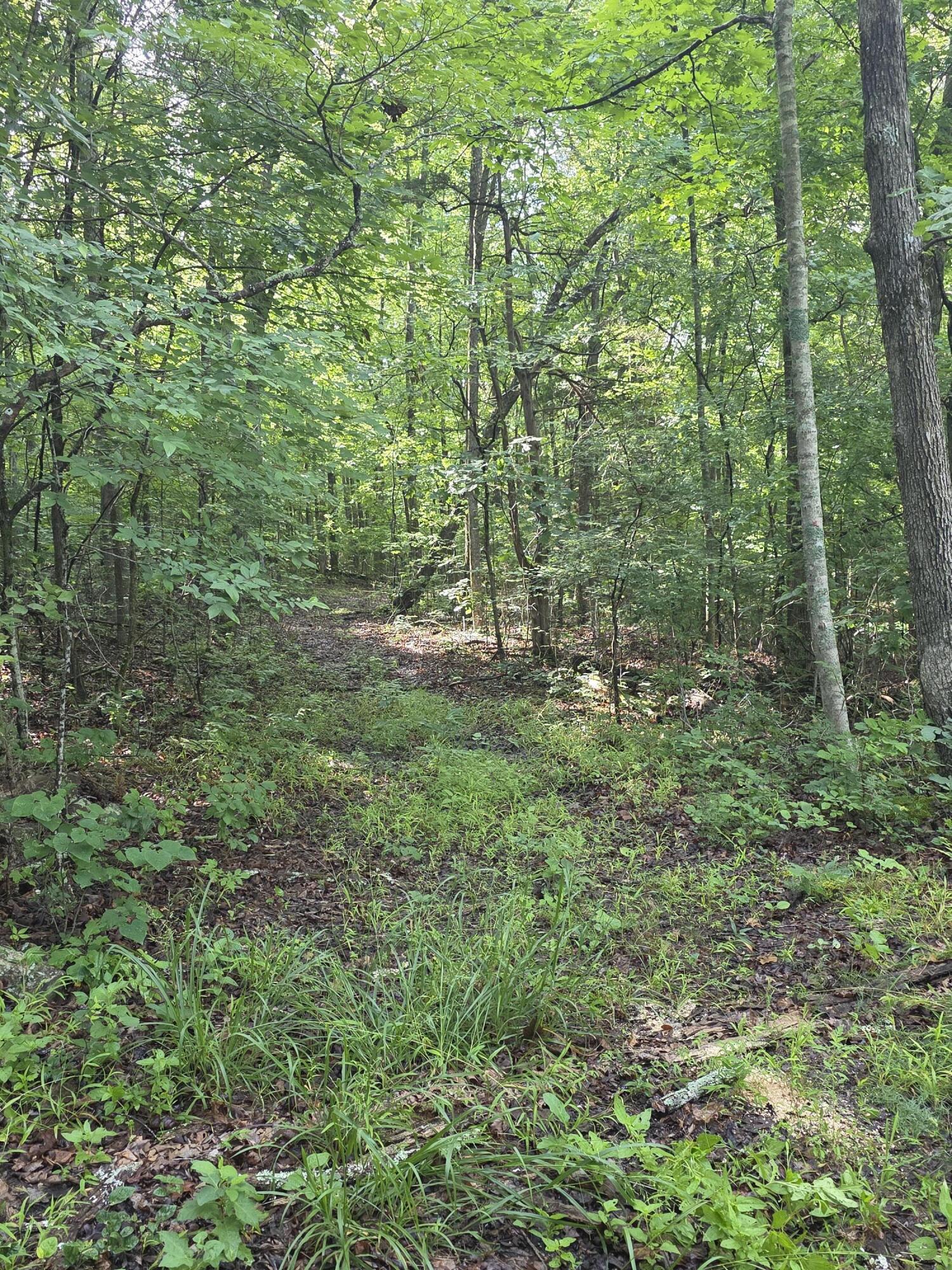 2453 Ky-1258 Property Photo 23