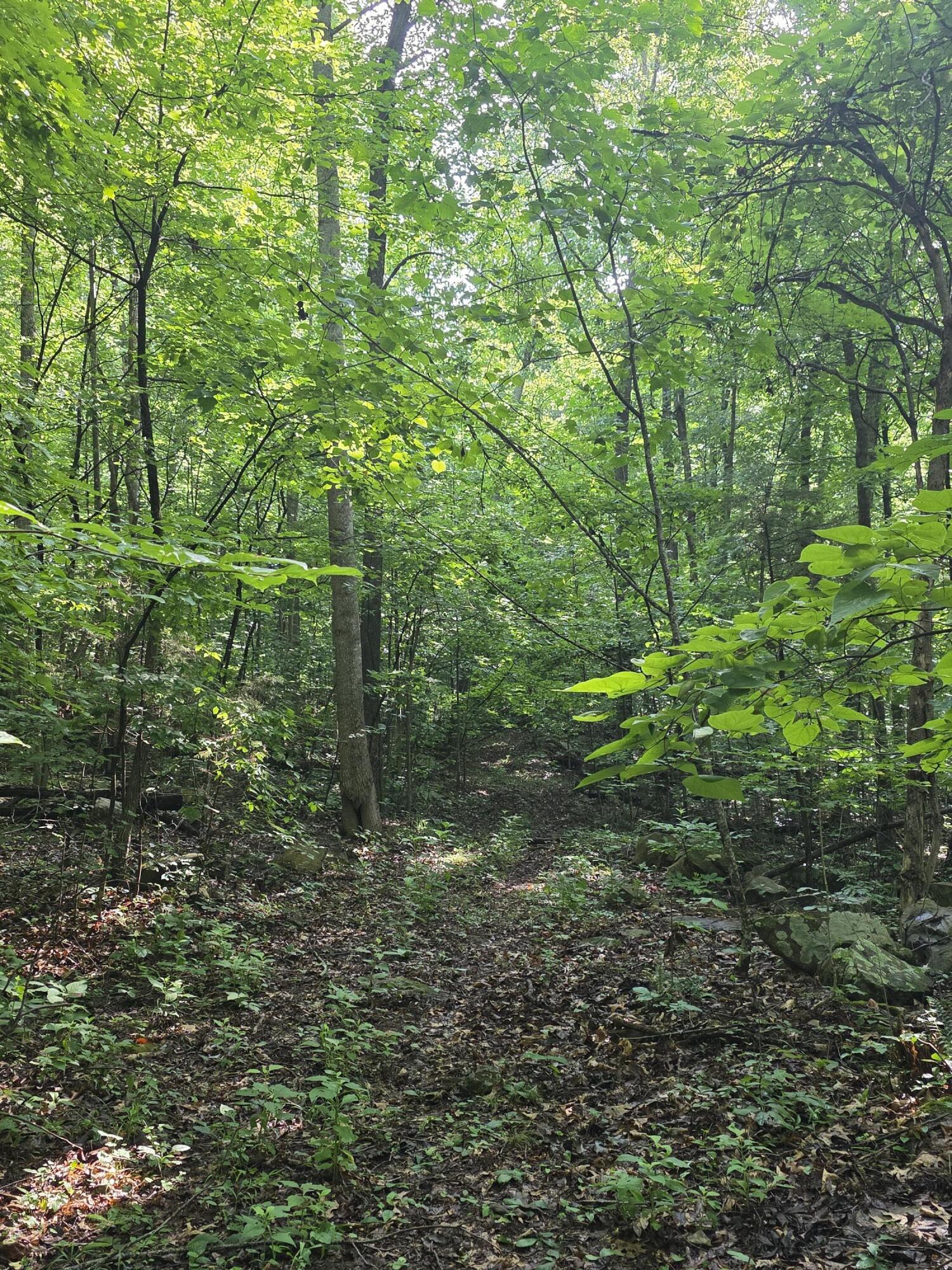 2453 Ky-1258 Property Photo 25