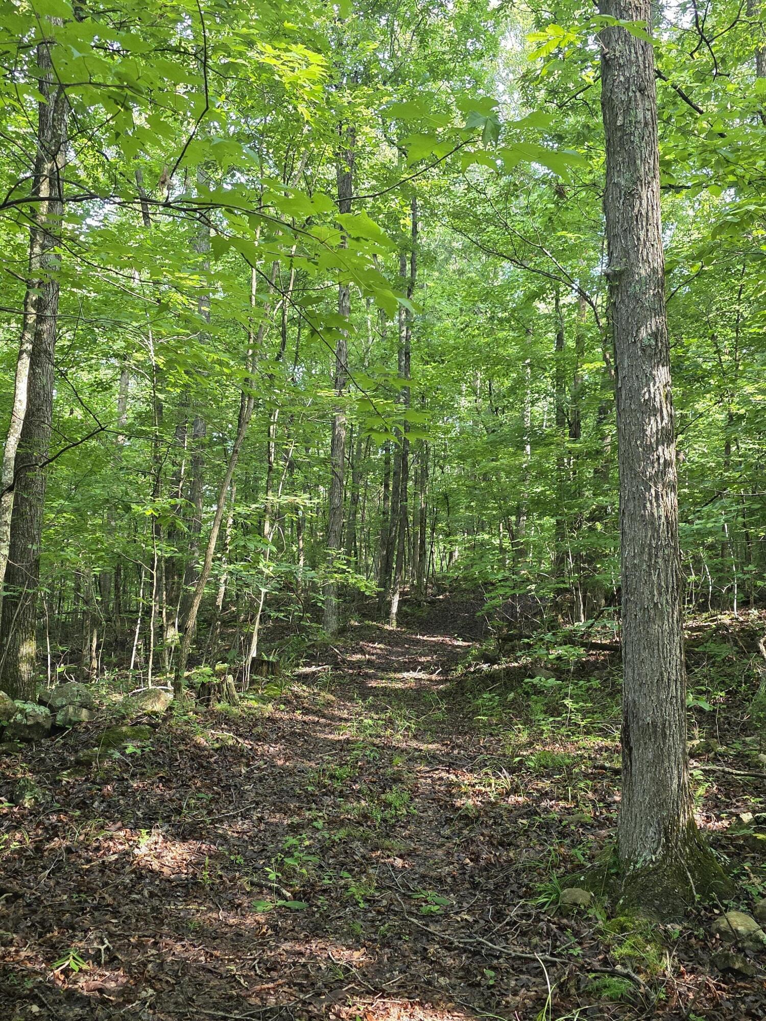 2453 Ky-1258 Property Photo 26