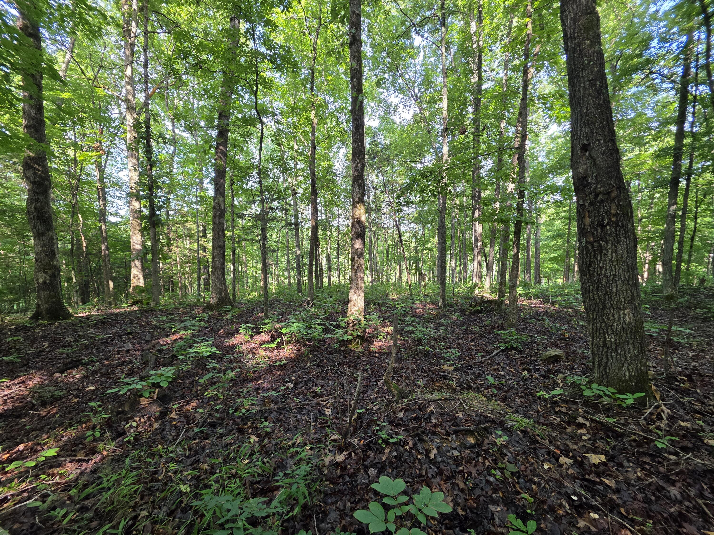 2453 Ky-1258 Property Photo 27