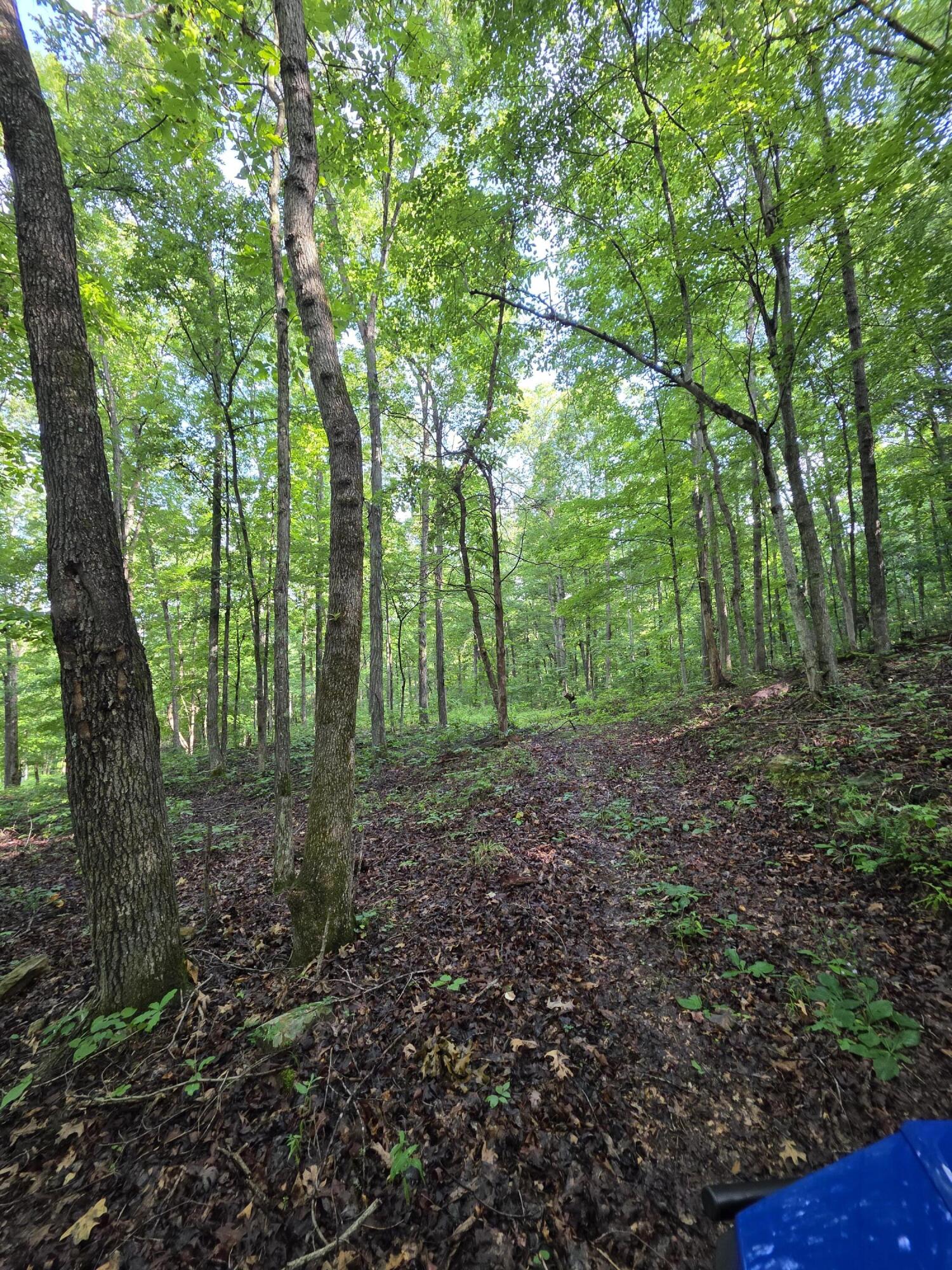 2453 Ky-1258 Property Photo 28