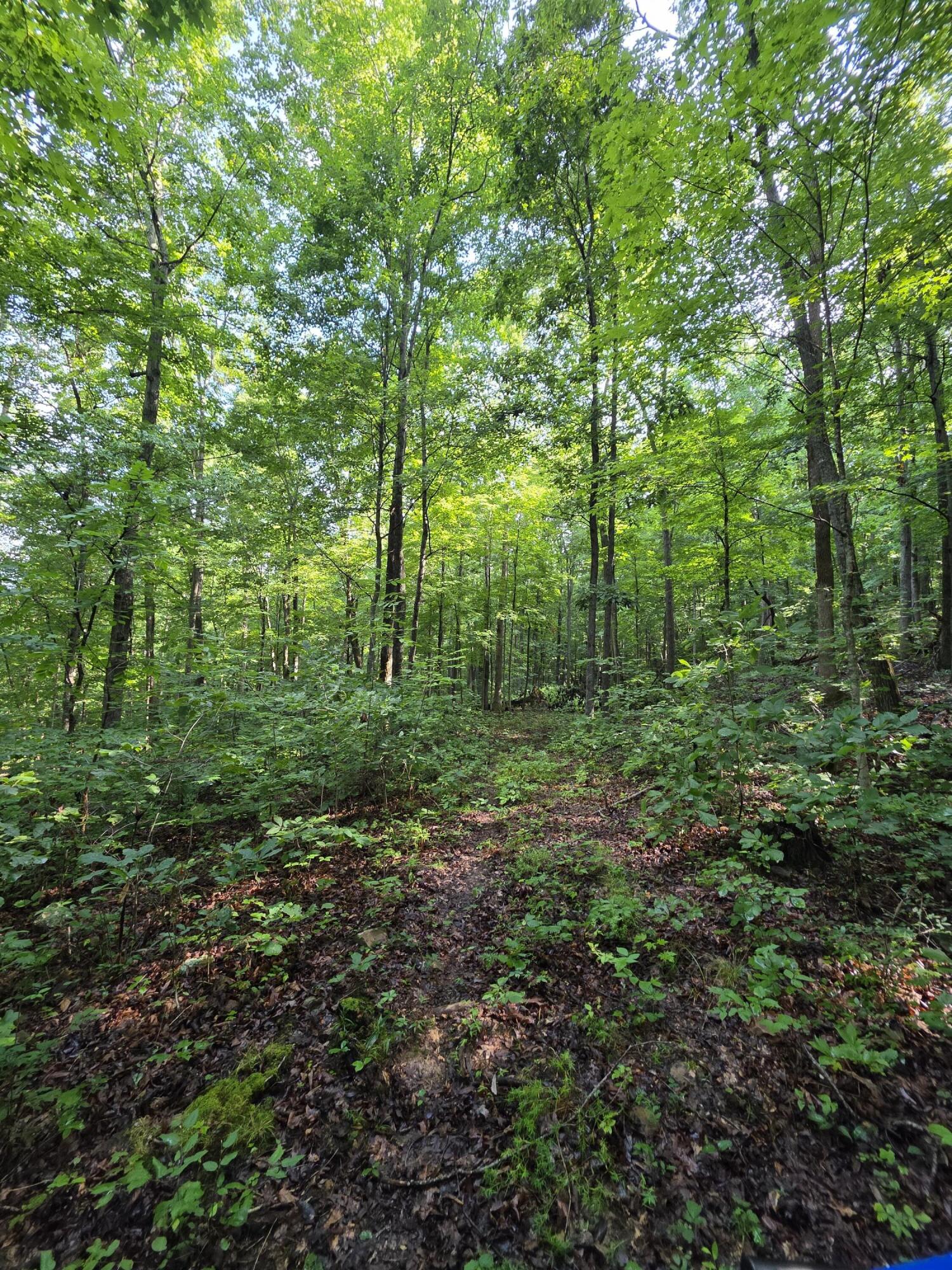 2453 Ky-1258 Property Photo 29