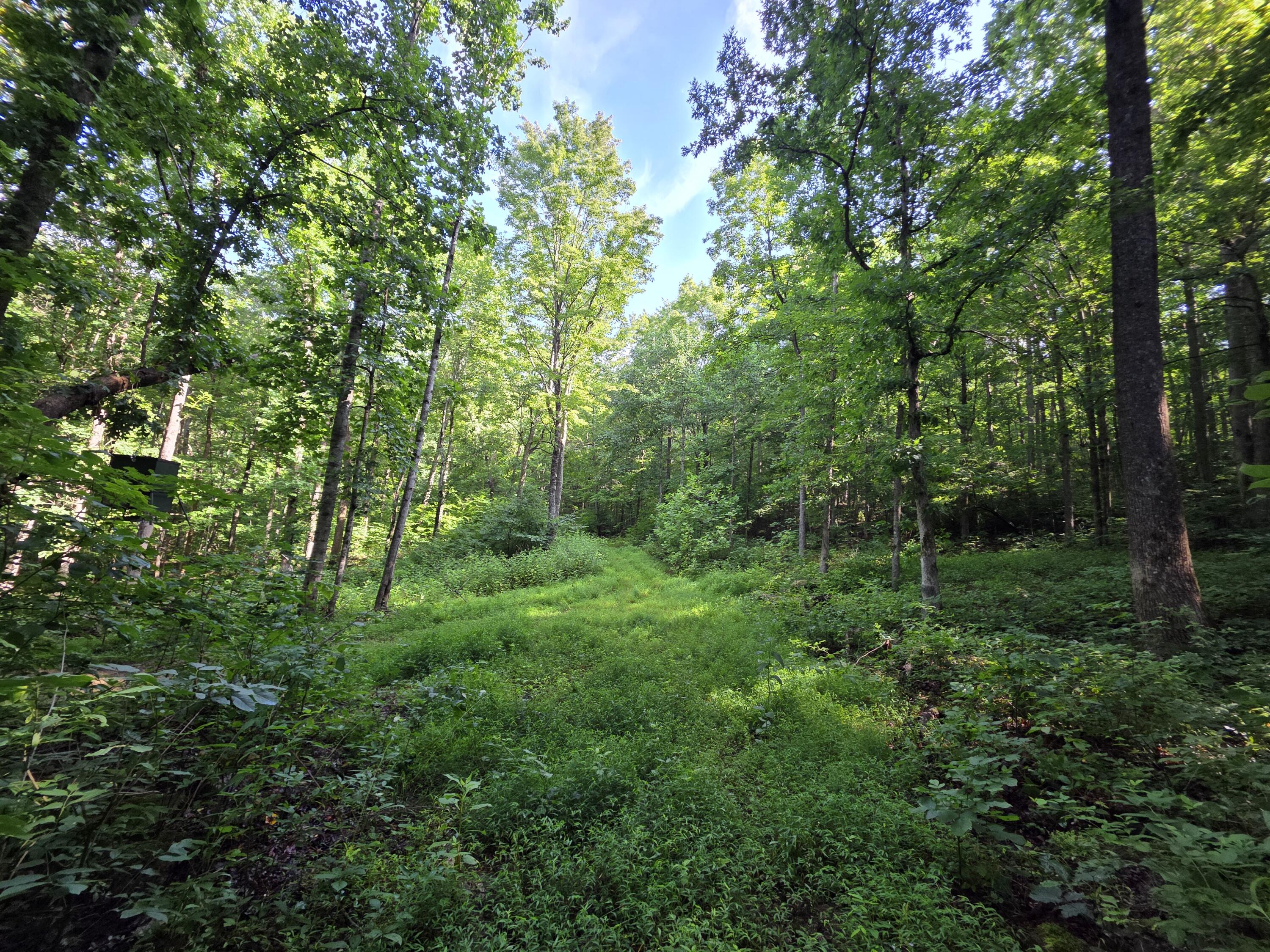 2453 Ky-1258 Property Photo 31