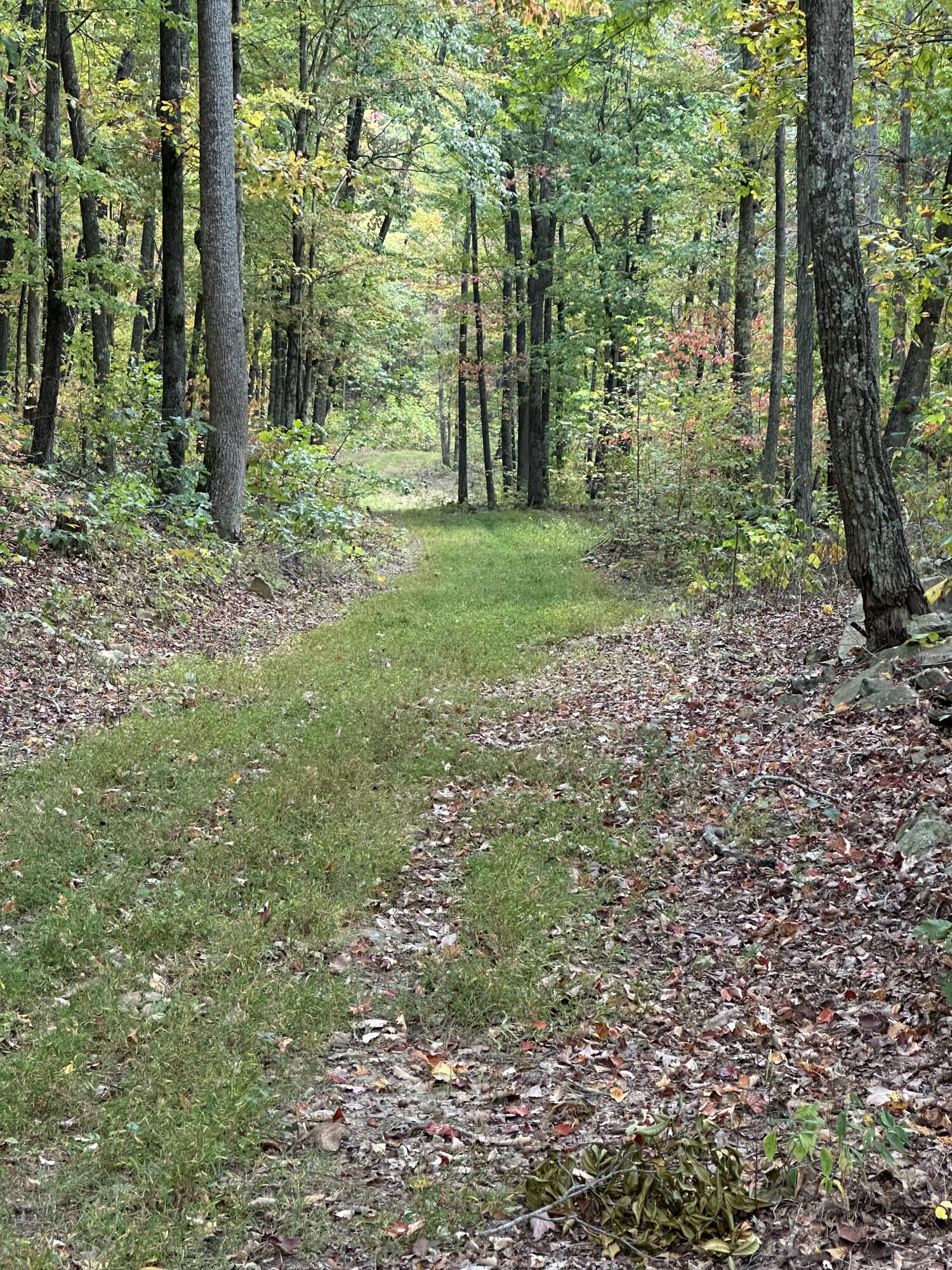 2453 Ky-1258 Property Photo 38
