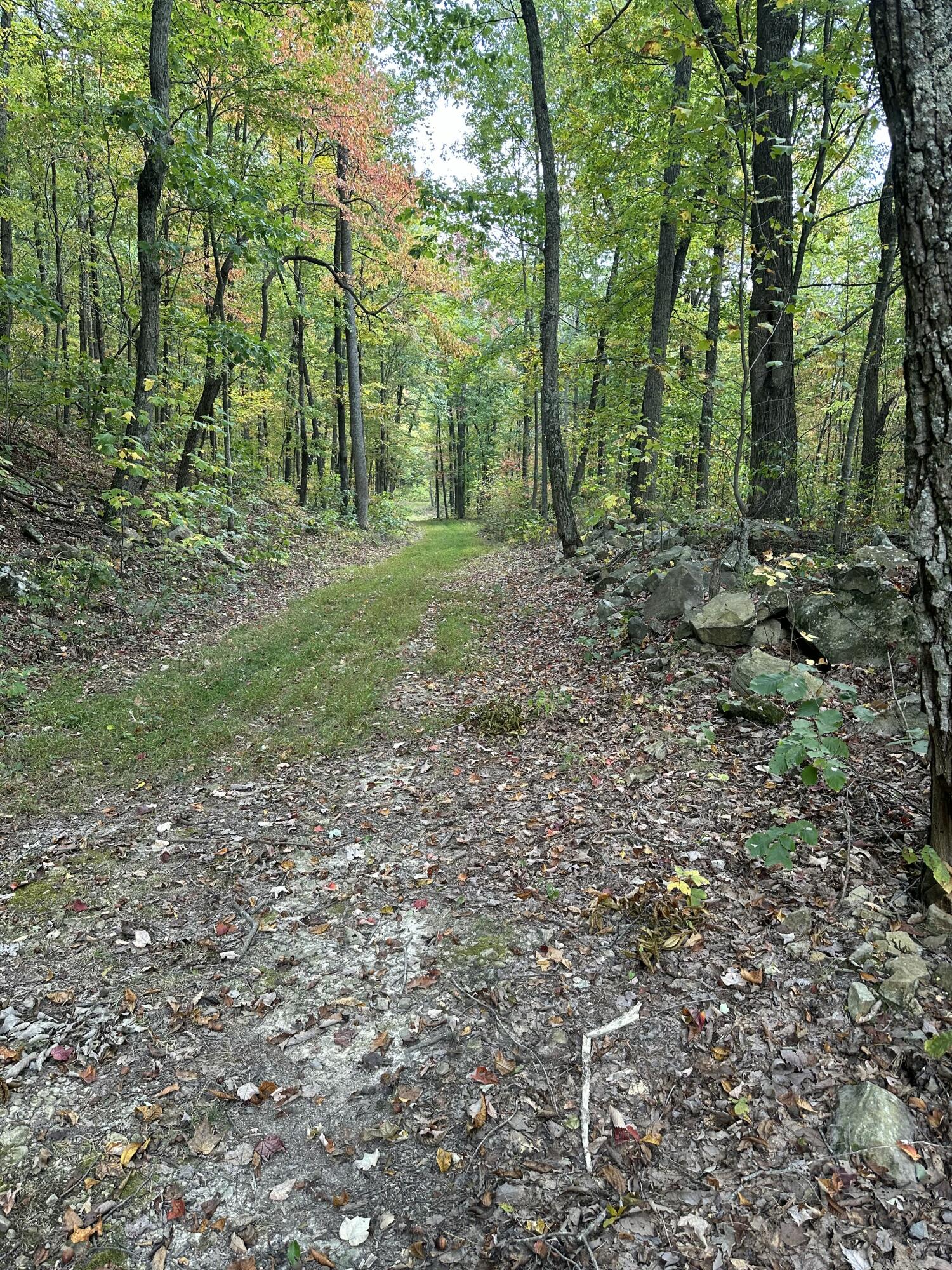 2453 Ky-1258 Property Photo 39
