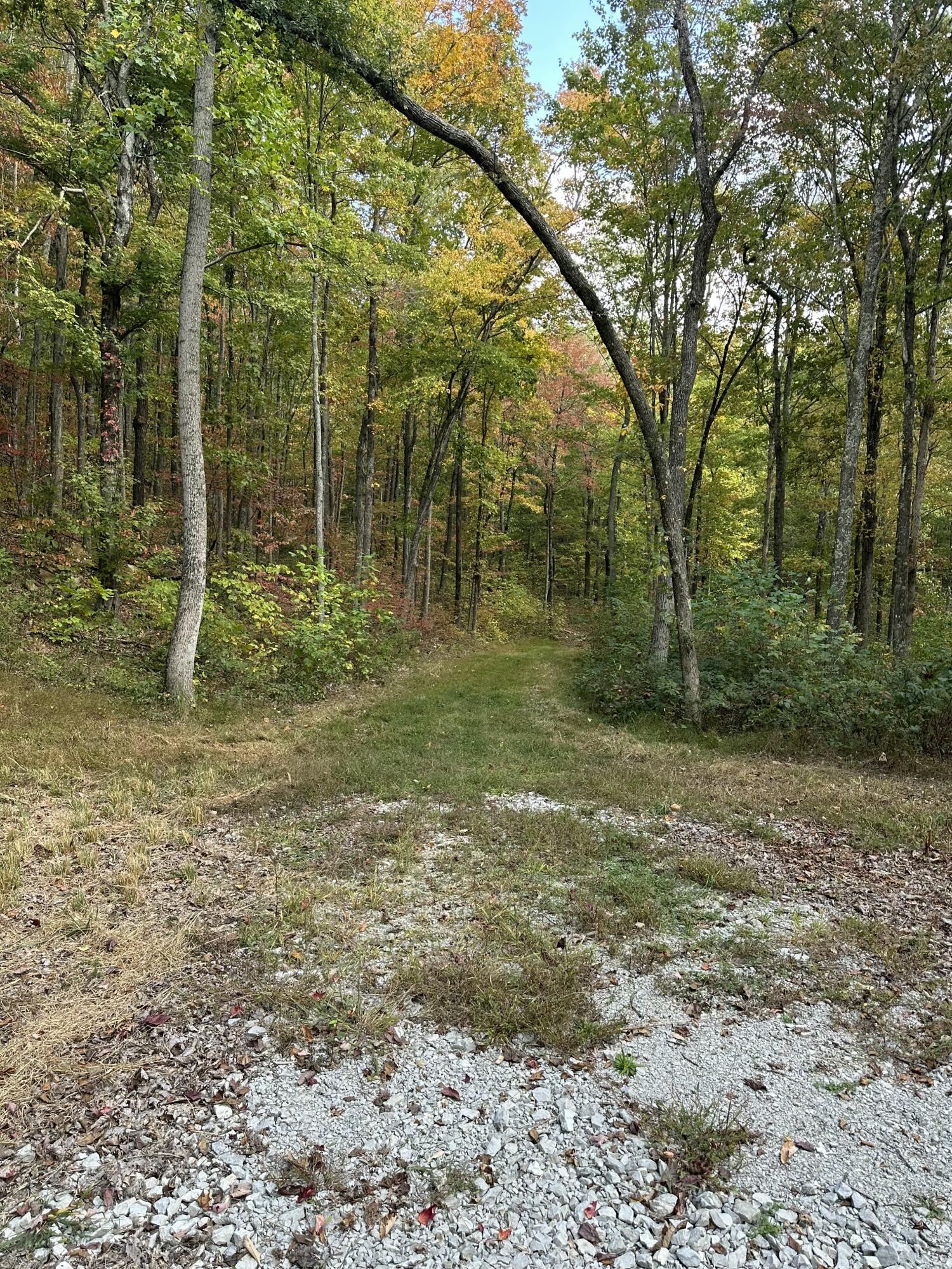 2453 Ky-1258 Property Photo 43