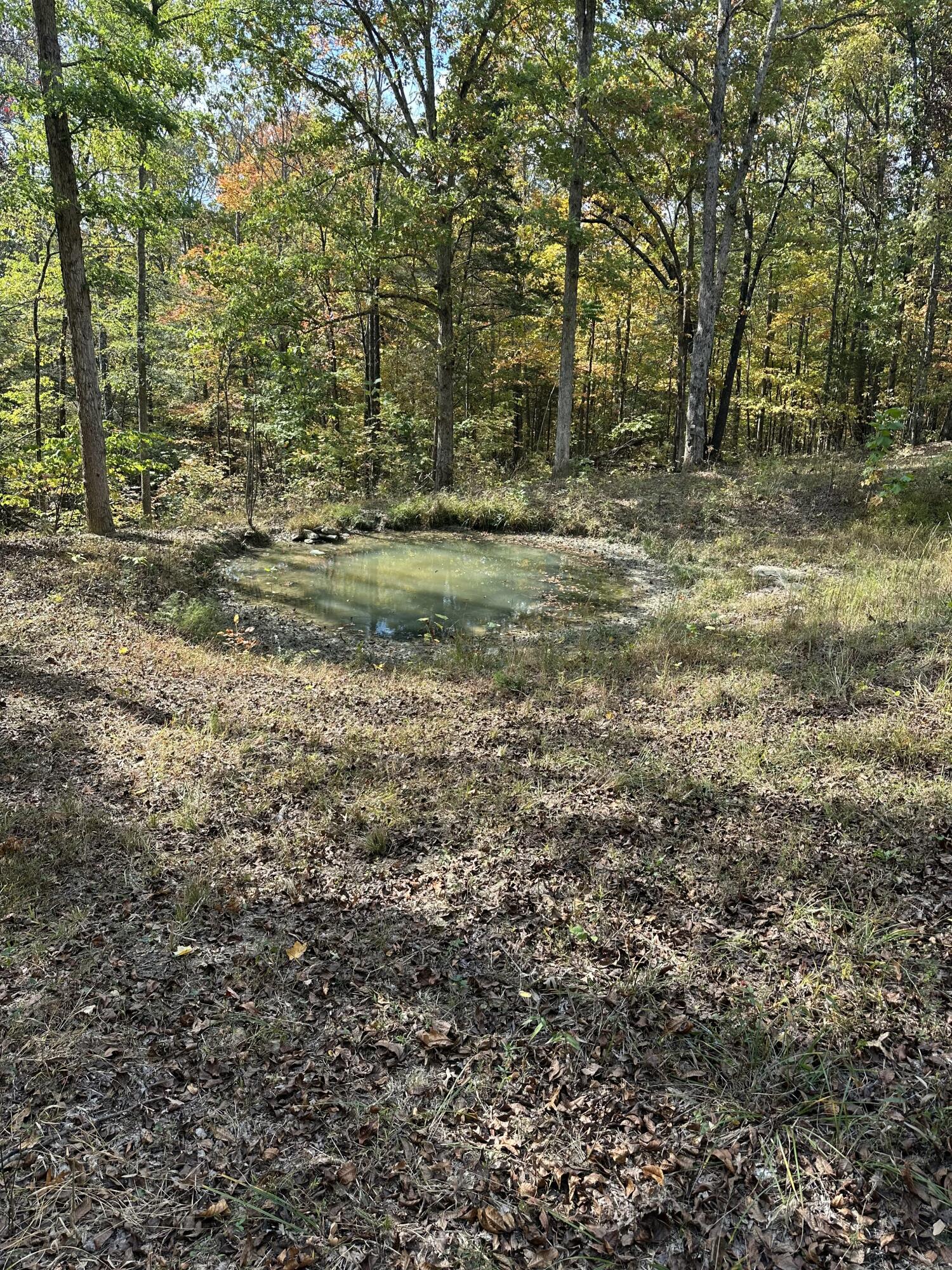 2453 Ky-1258 Property Photo 45