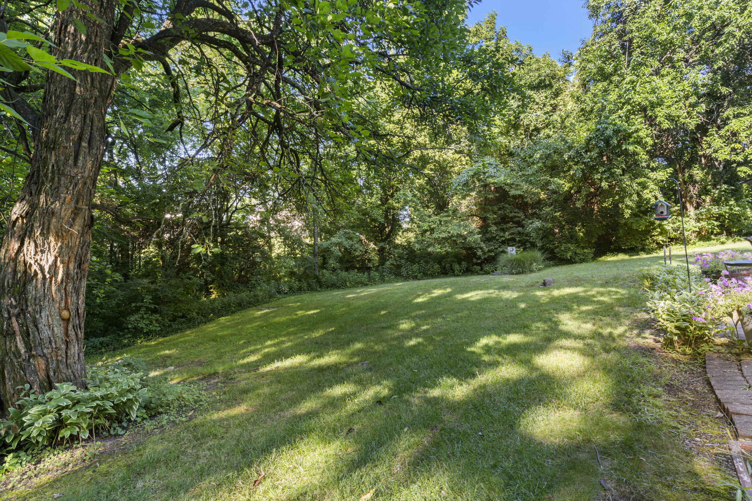 1005 Pin Oak Drive Property Photo 54