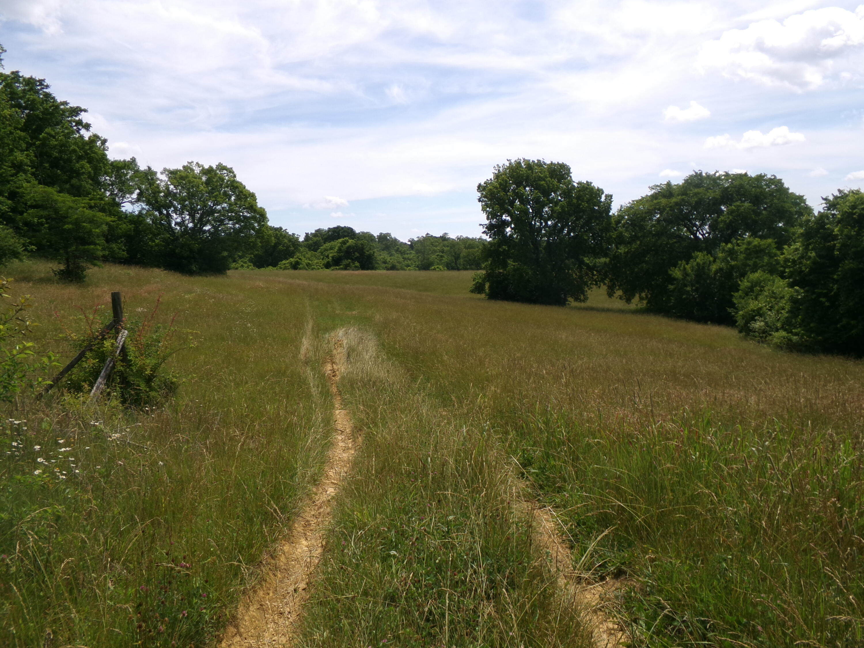 3884. Stepstone Road Property Photo 60