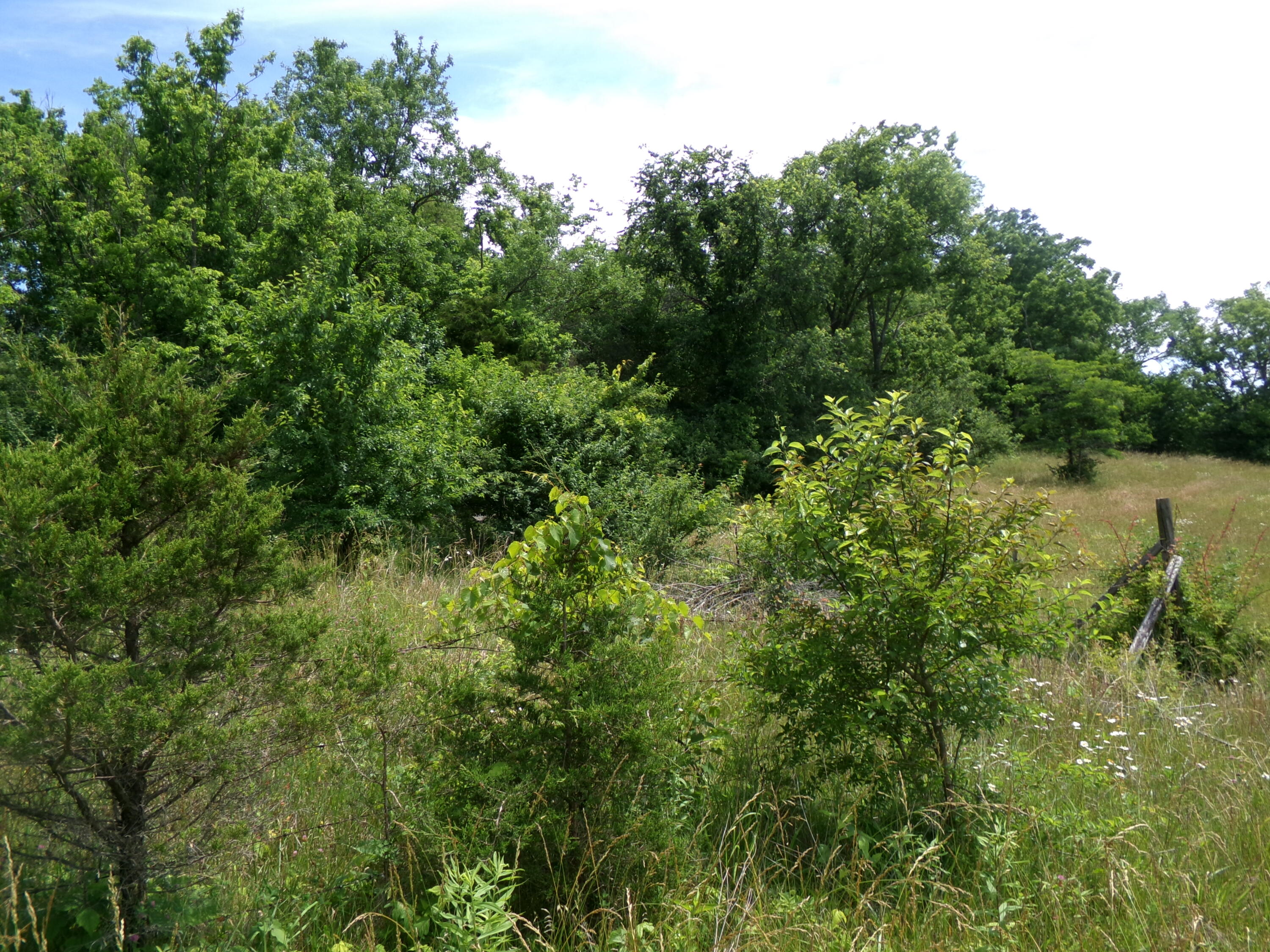 3884. Stepstone Road Property Photo 61