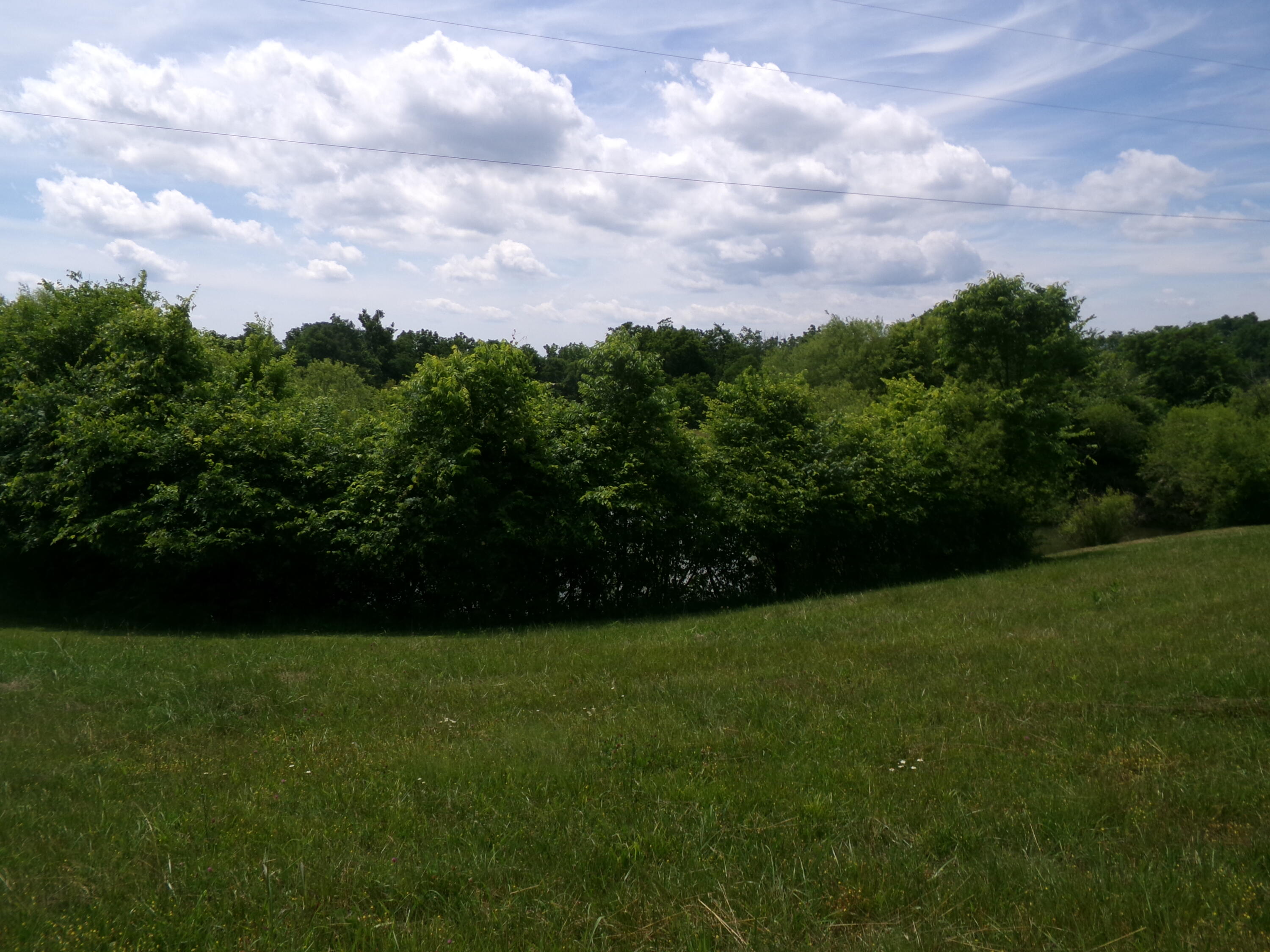 3884. Stepstone Road Property Photo 64
