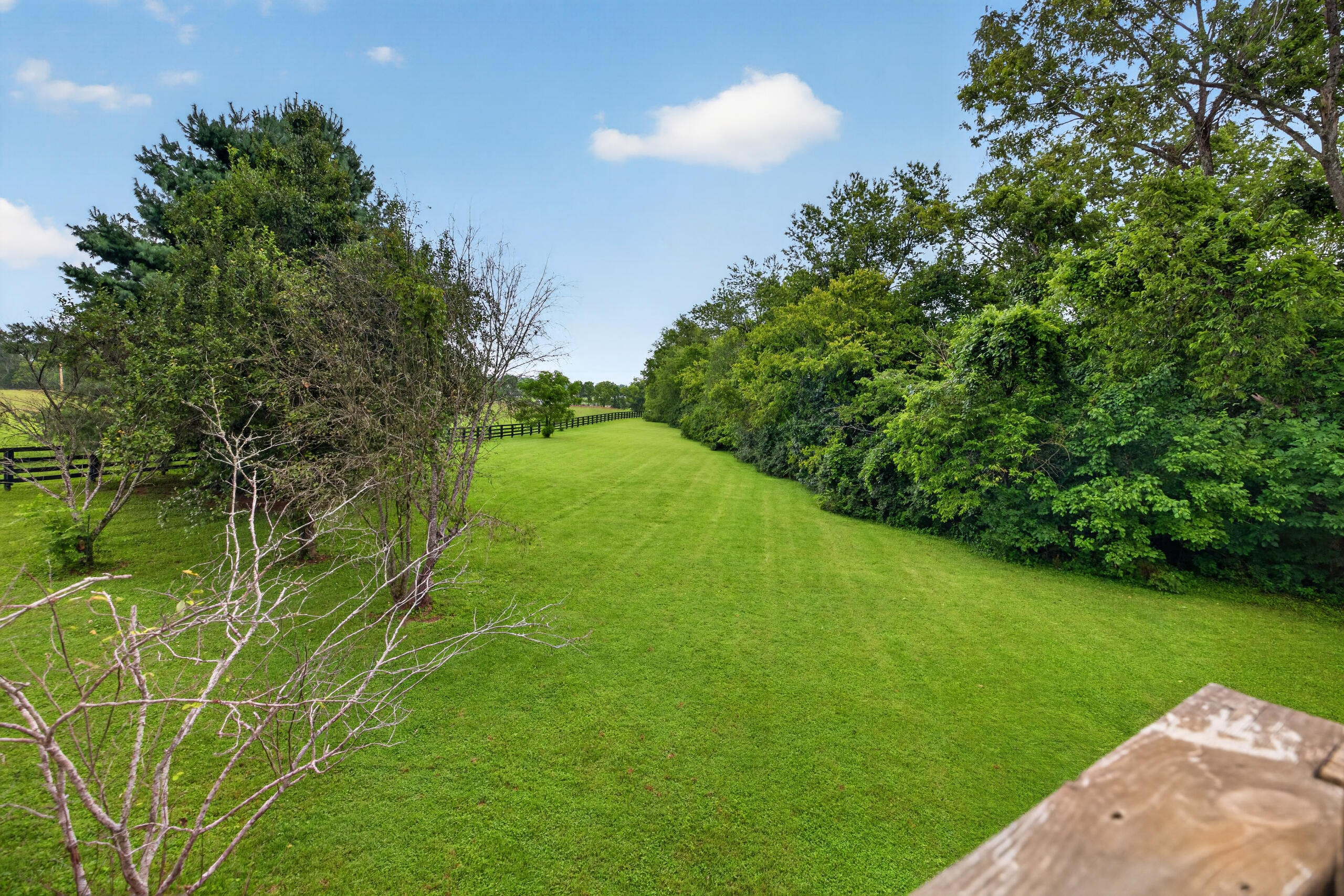 405 Lone Oak Road Property Photo 60