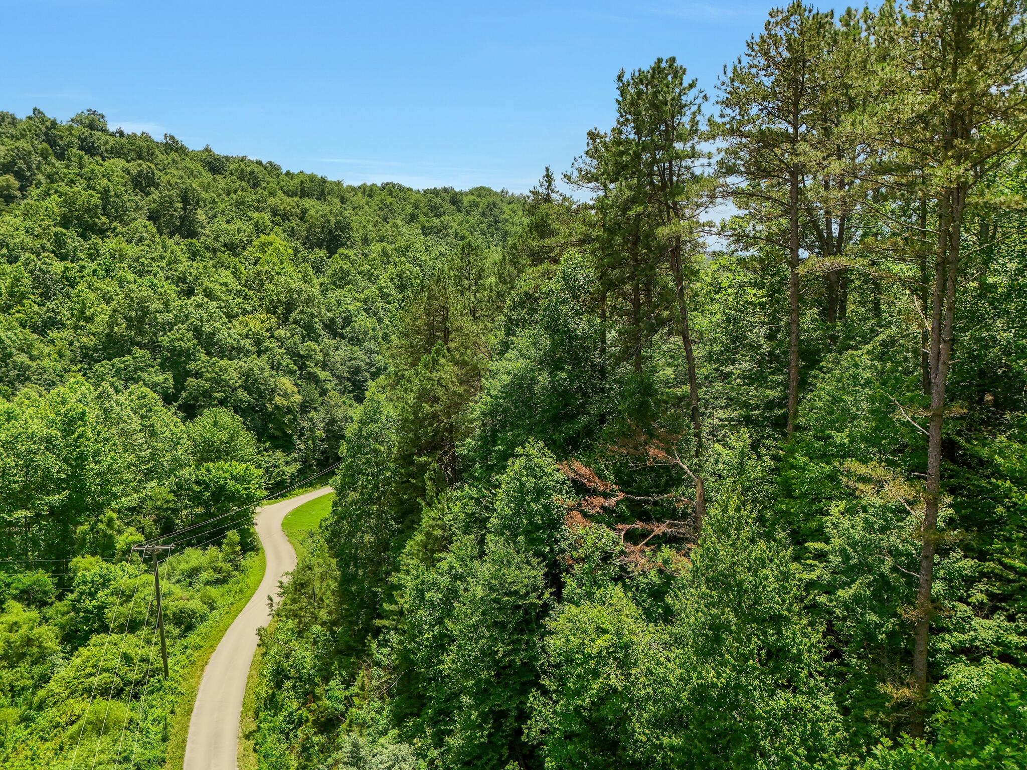 001 Williams Fork Road Property Photo 3