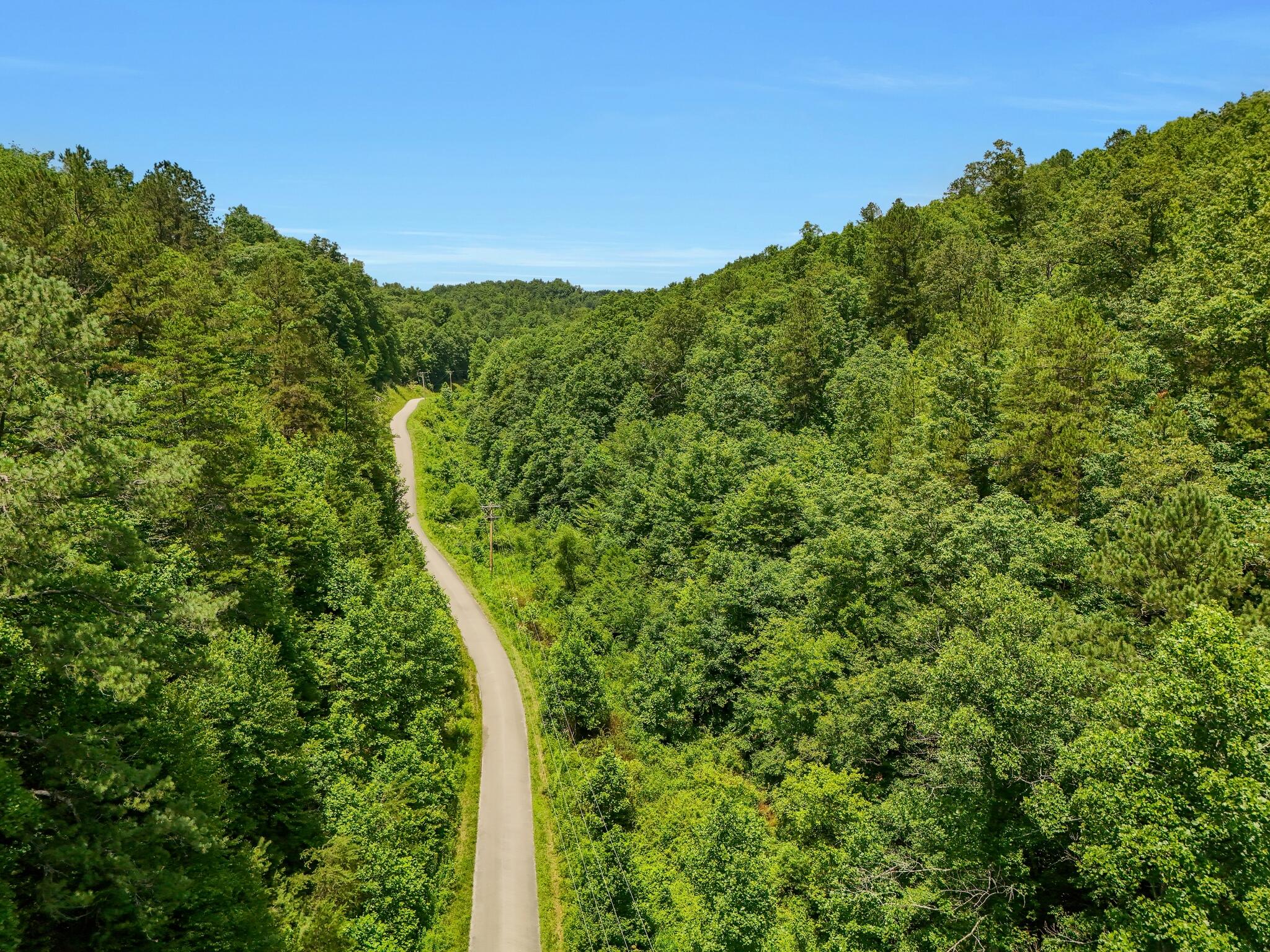 001 Williams Fork Road Property Photo 5