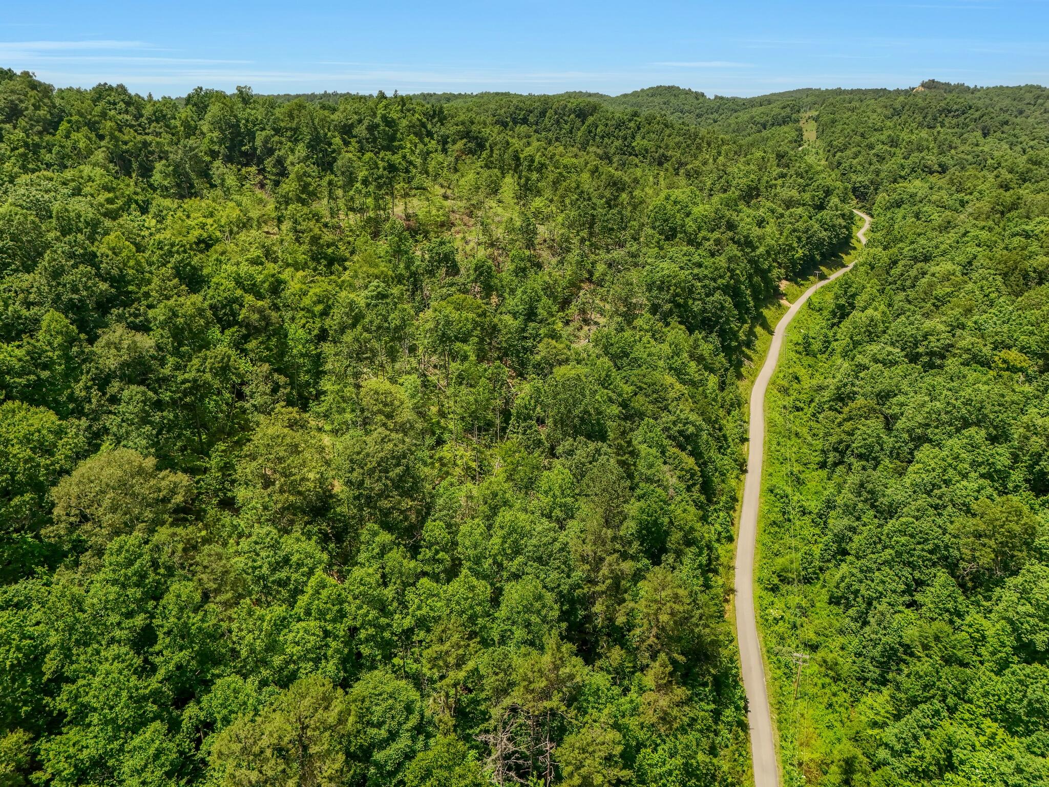 001 Williams Fork Road Property Photo 6