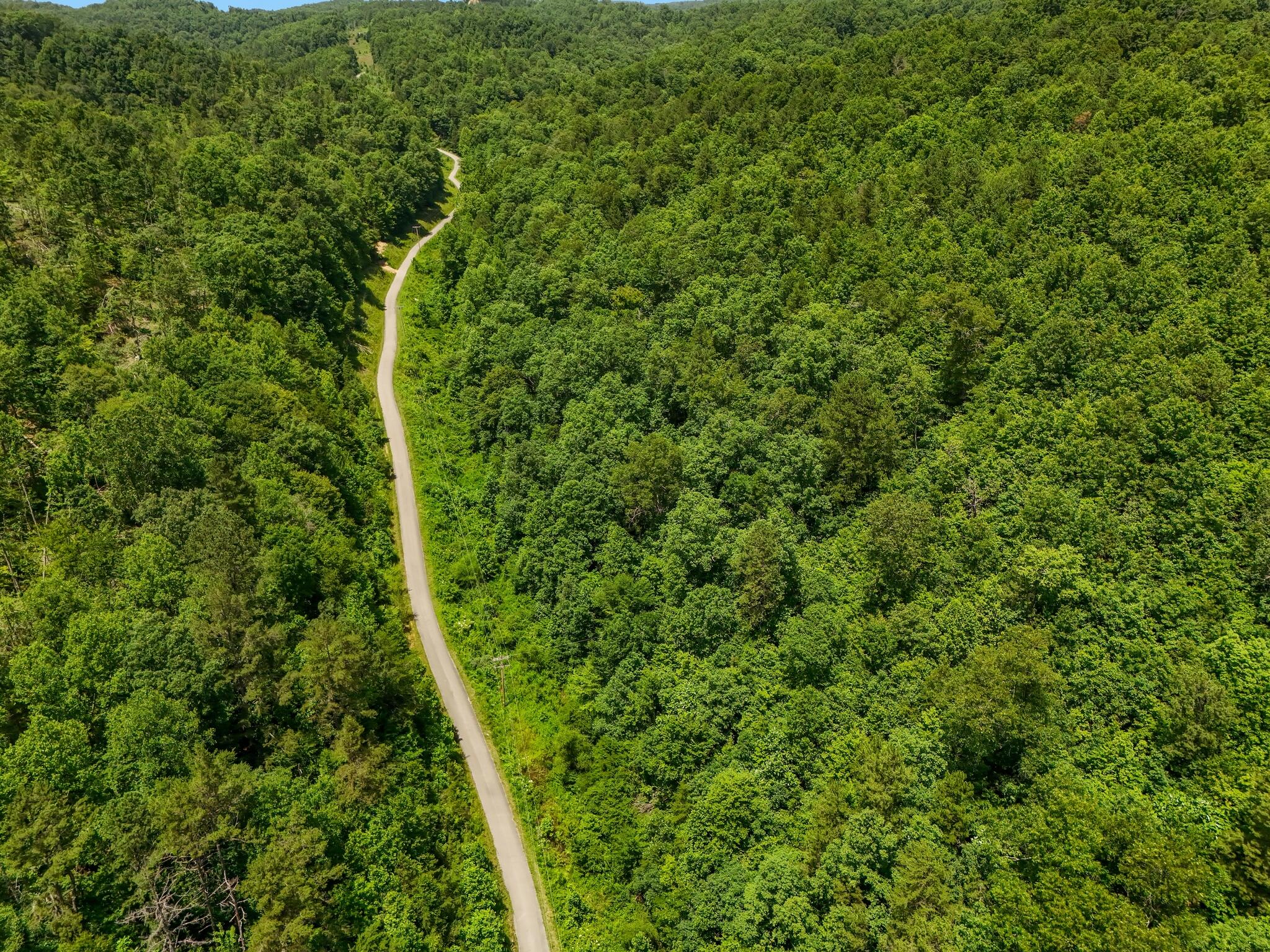 001 Williams Fork Road Property Photo 7