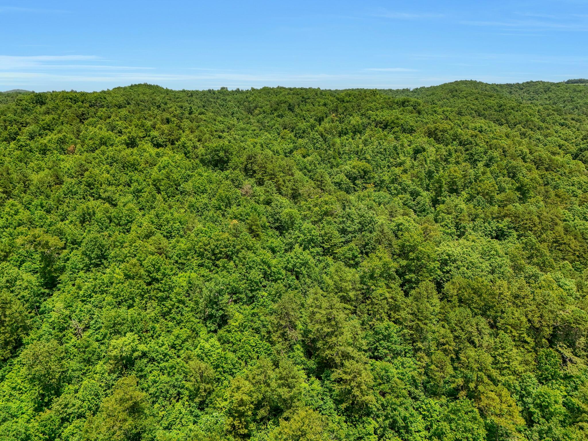 001 Williams Fork Road Property Photo 9