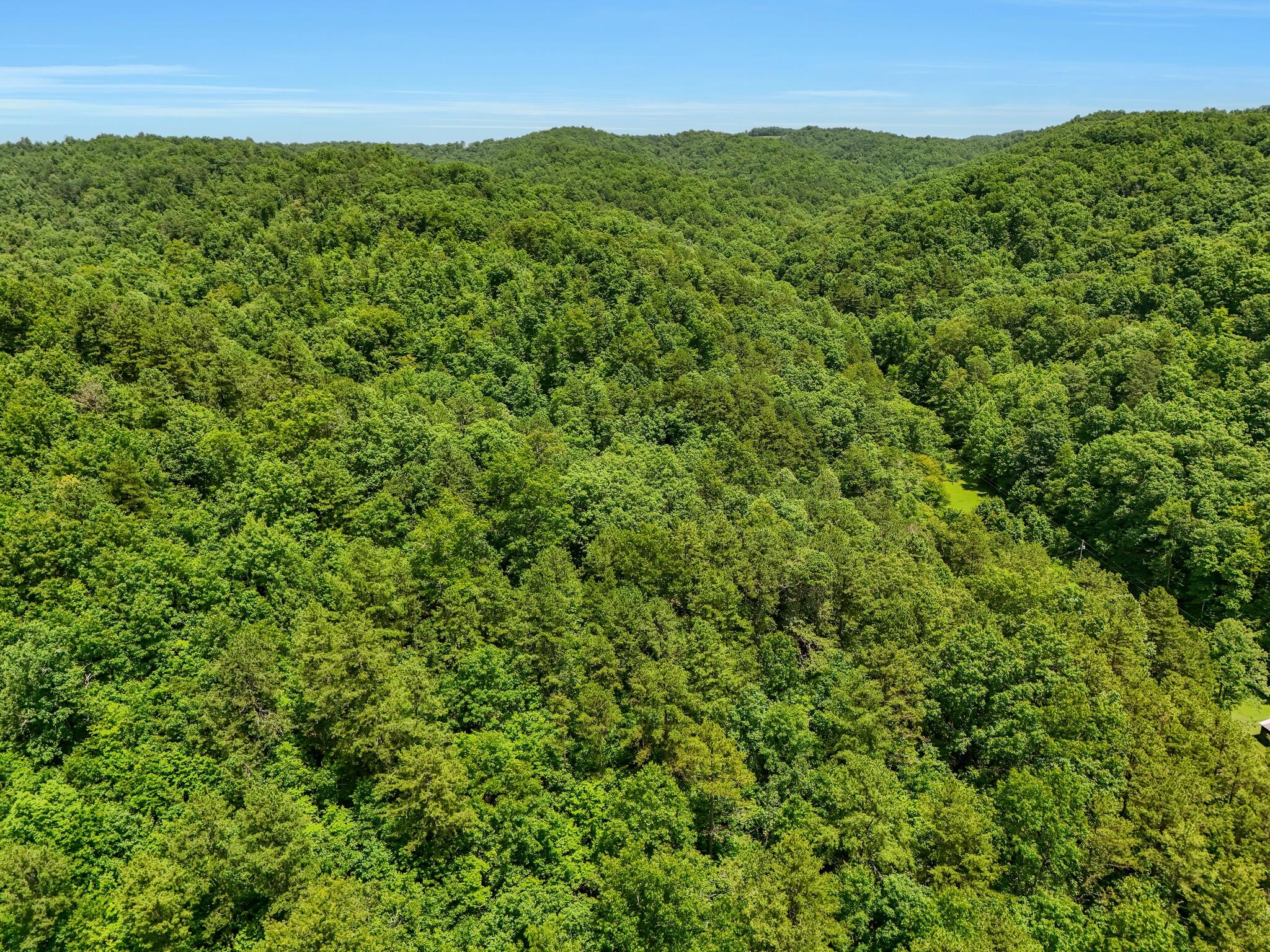 001 Williams Fork Road Property Photo 11
