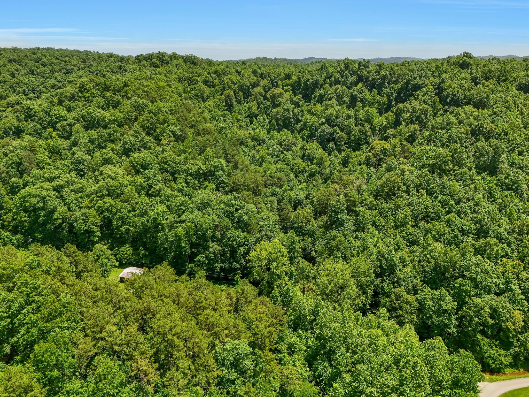 001 Williams Fork Road Property Photo 12