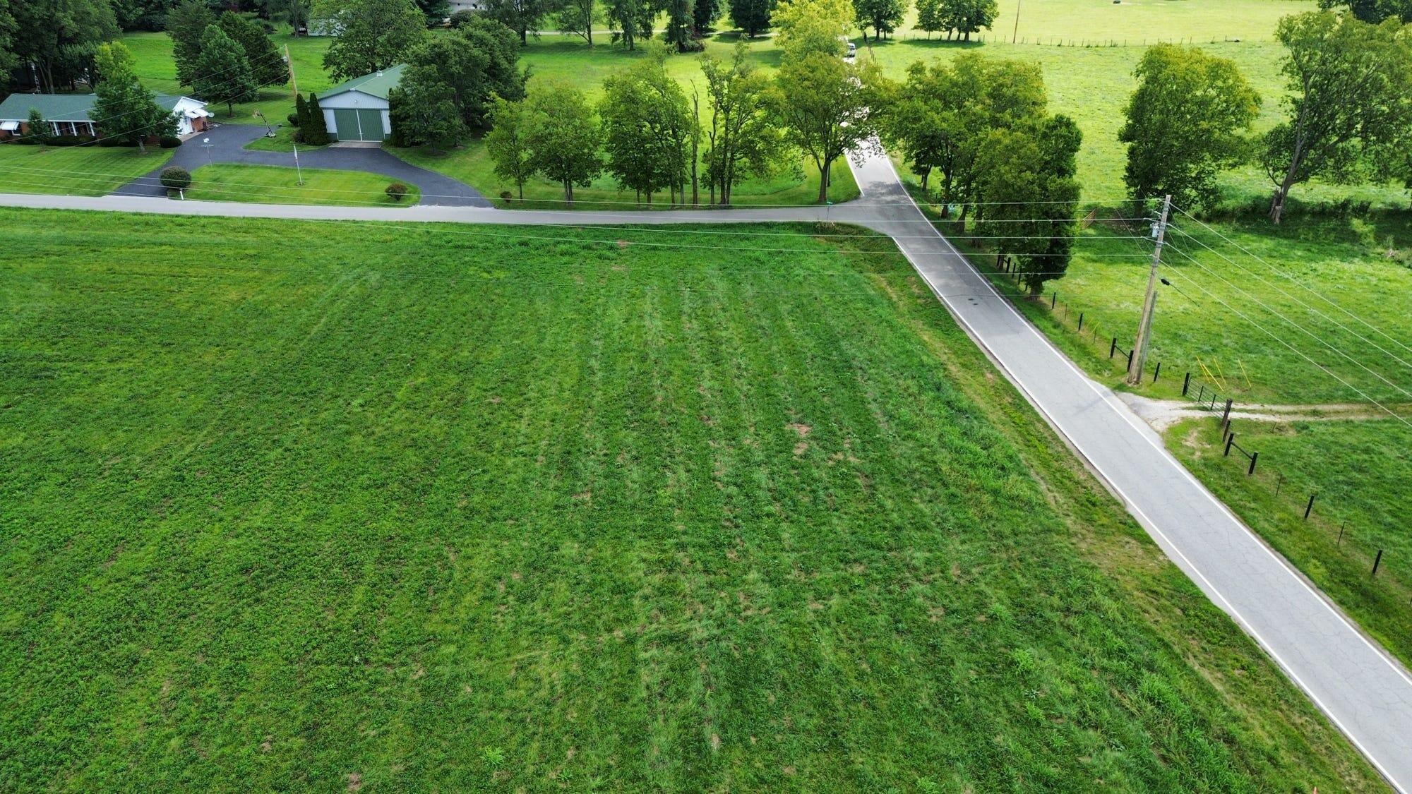 0969 Walnut Grove Road Property Photo 11