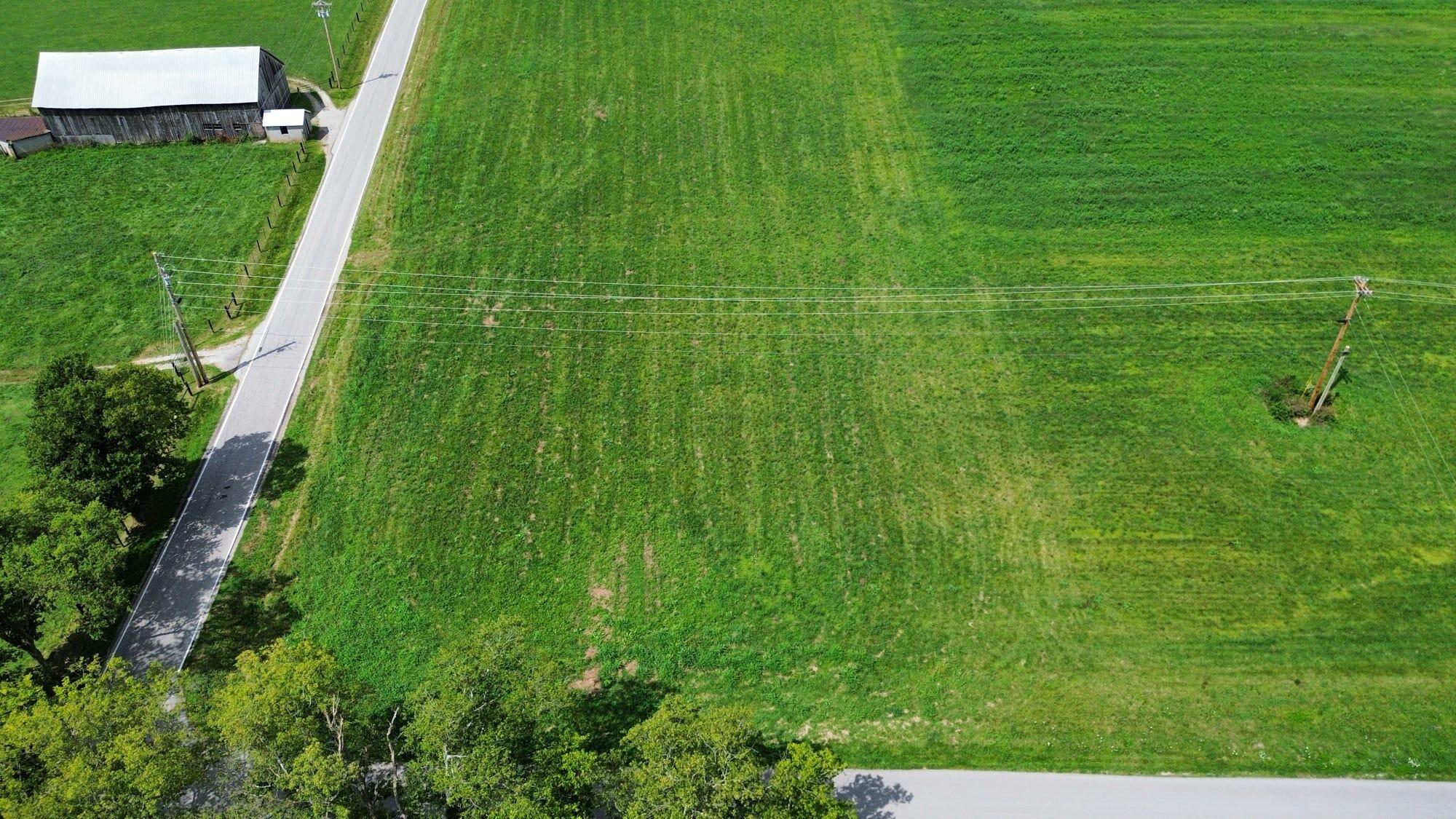 0969 Walnut Grove Road Property Photo 12