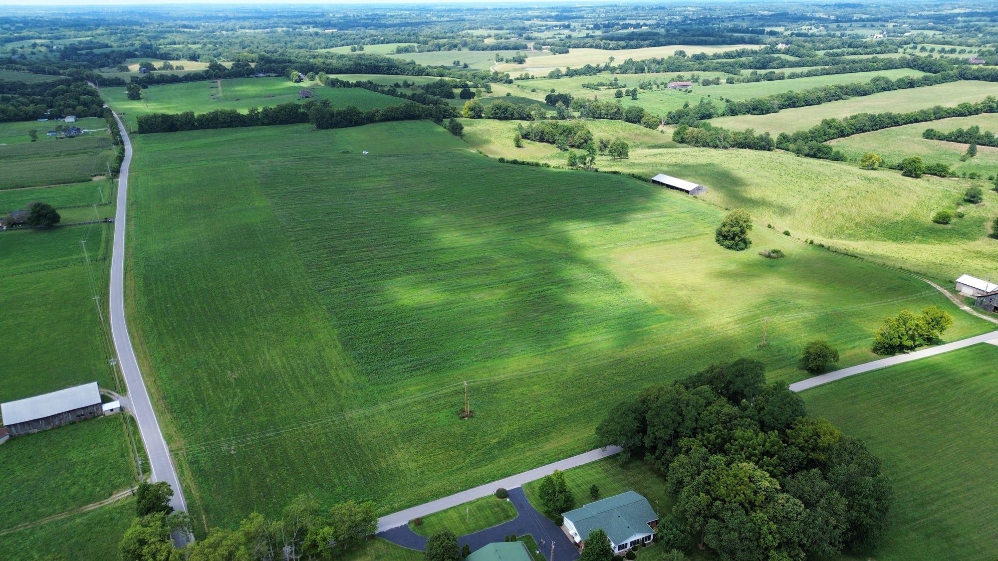 0969 Walnut Grove Road Property Photo 13