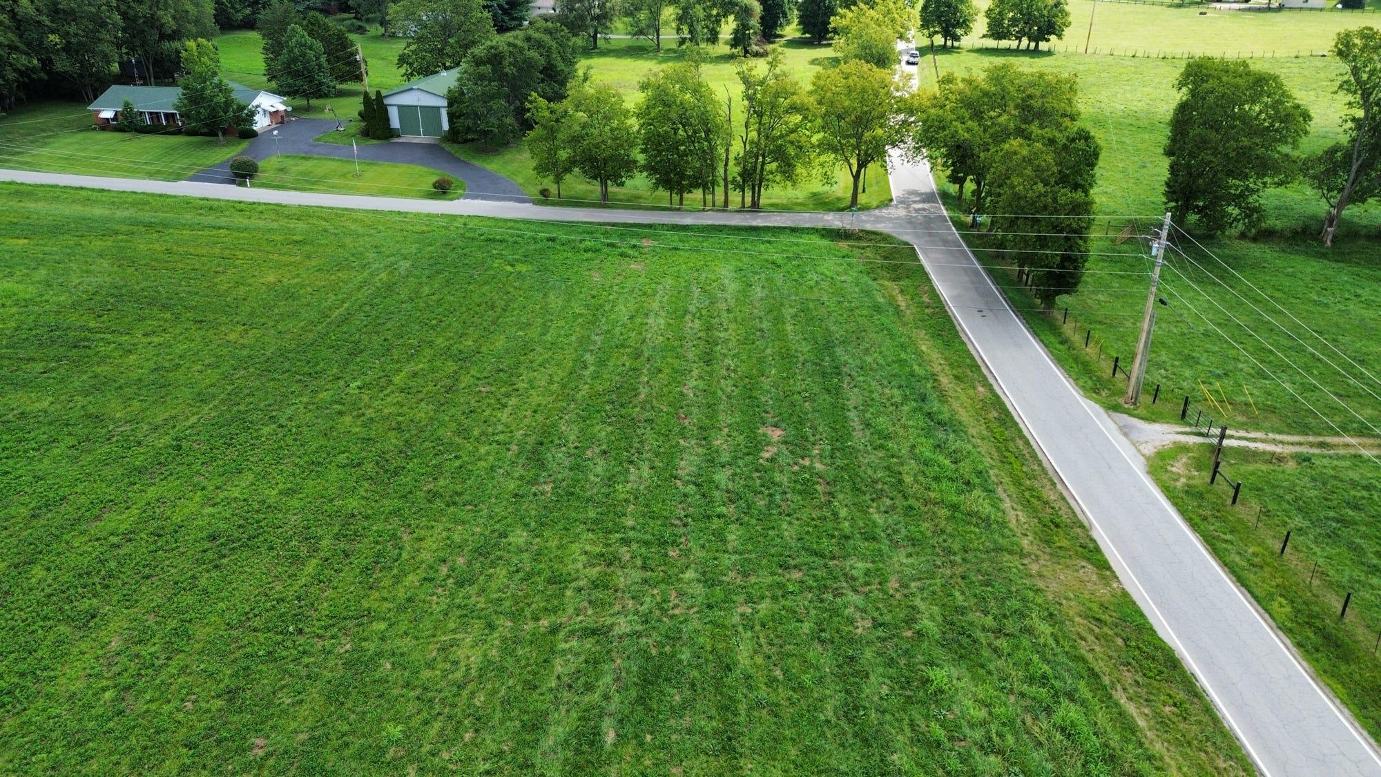 0969 Walnut Grove Road Property Photo 14