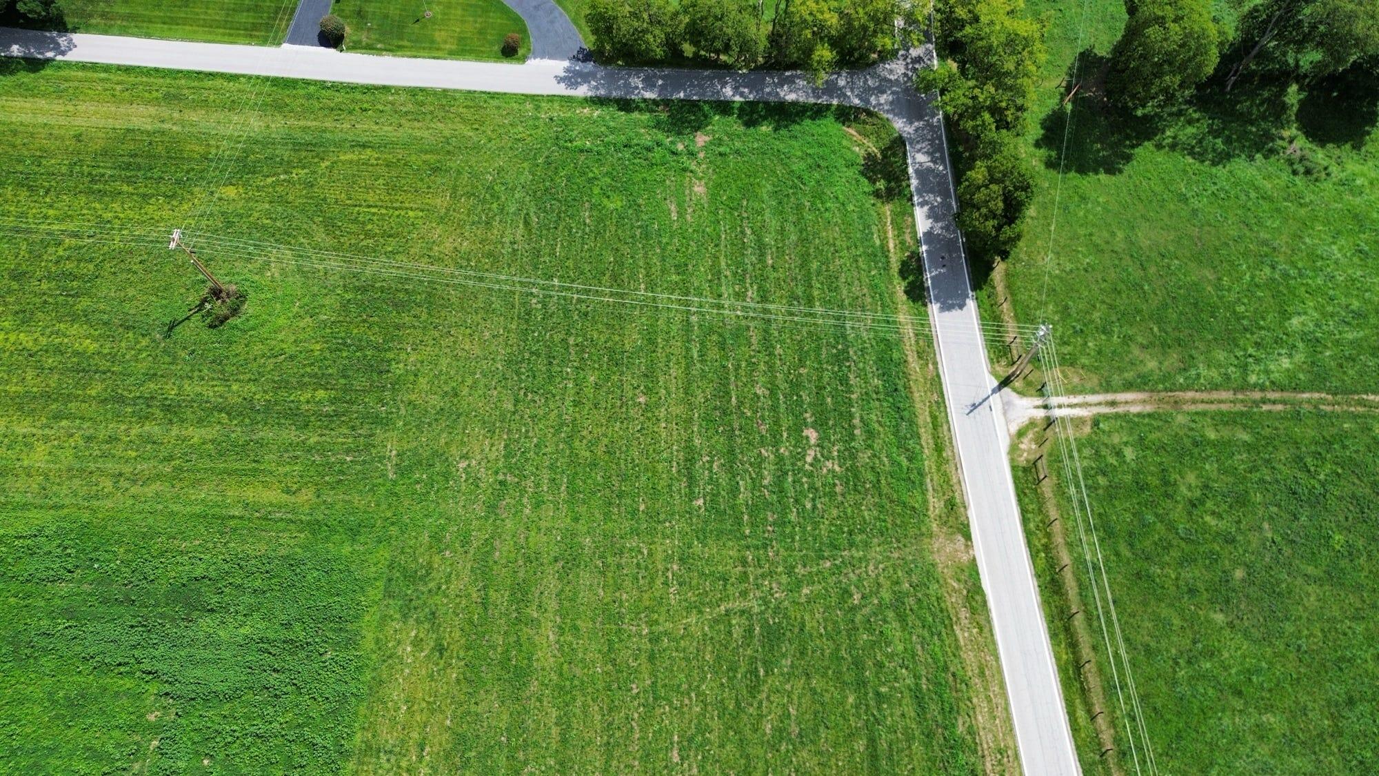 0969 Walnut Grove Road Property Photo 17