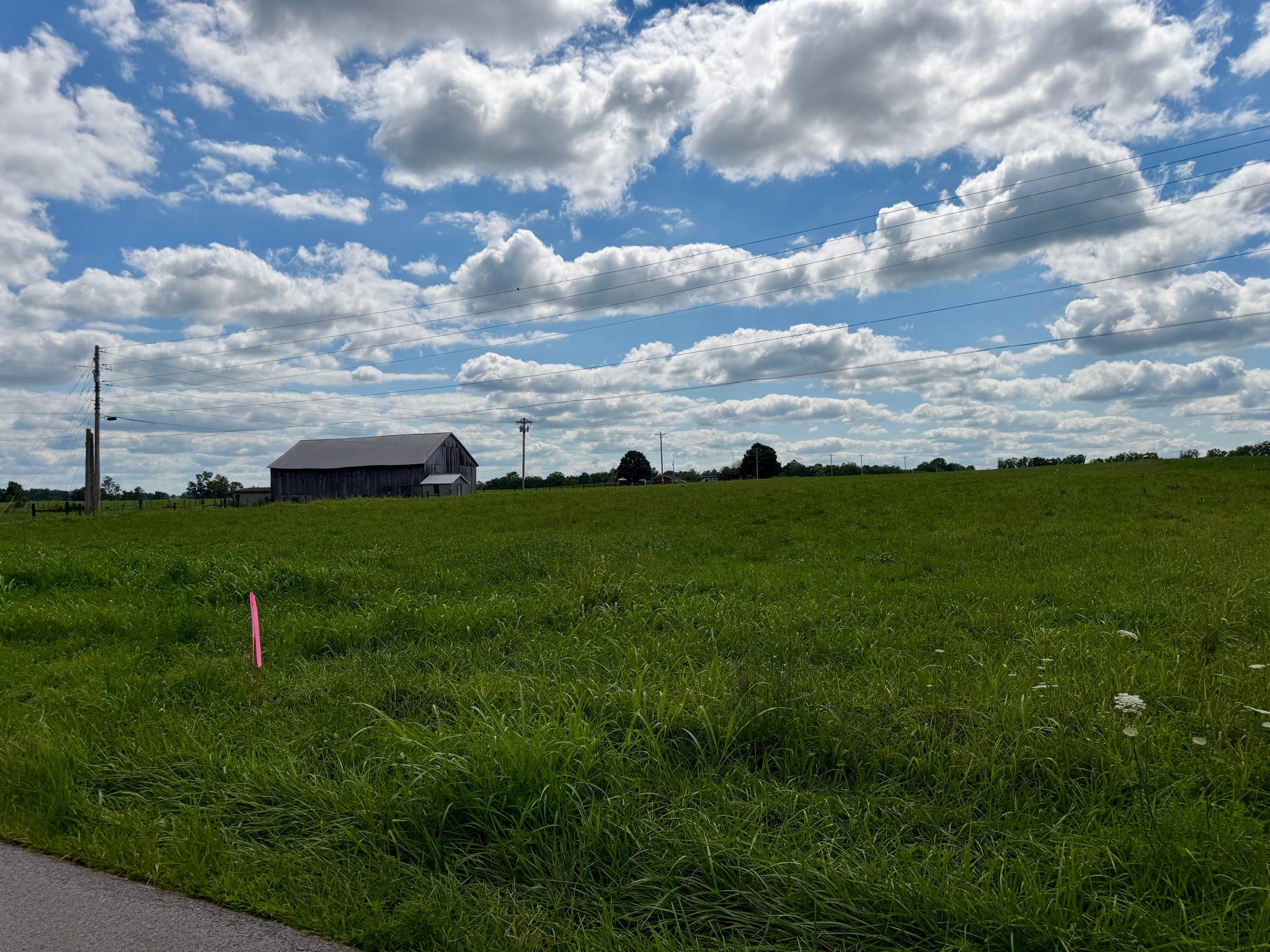0969 Walnut Grove Road Property Photo 20