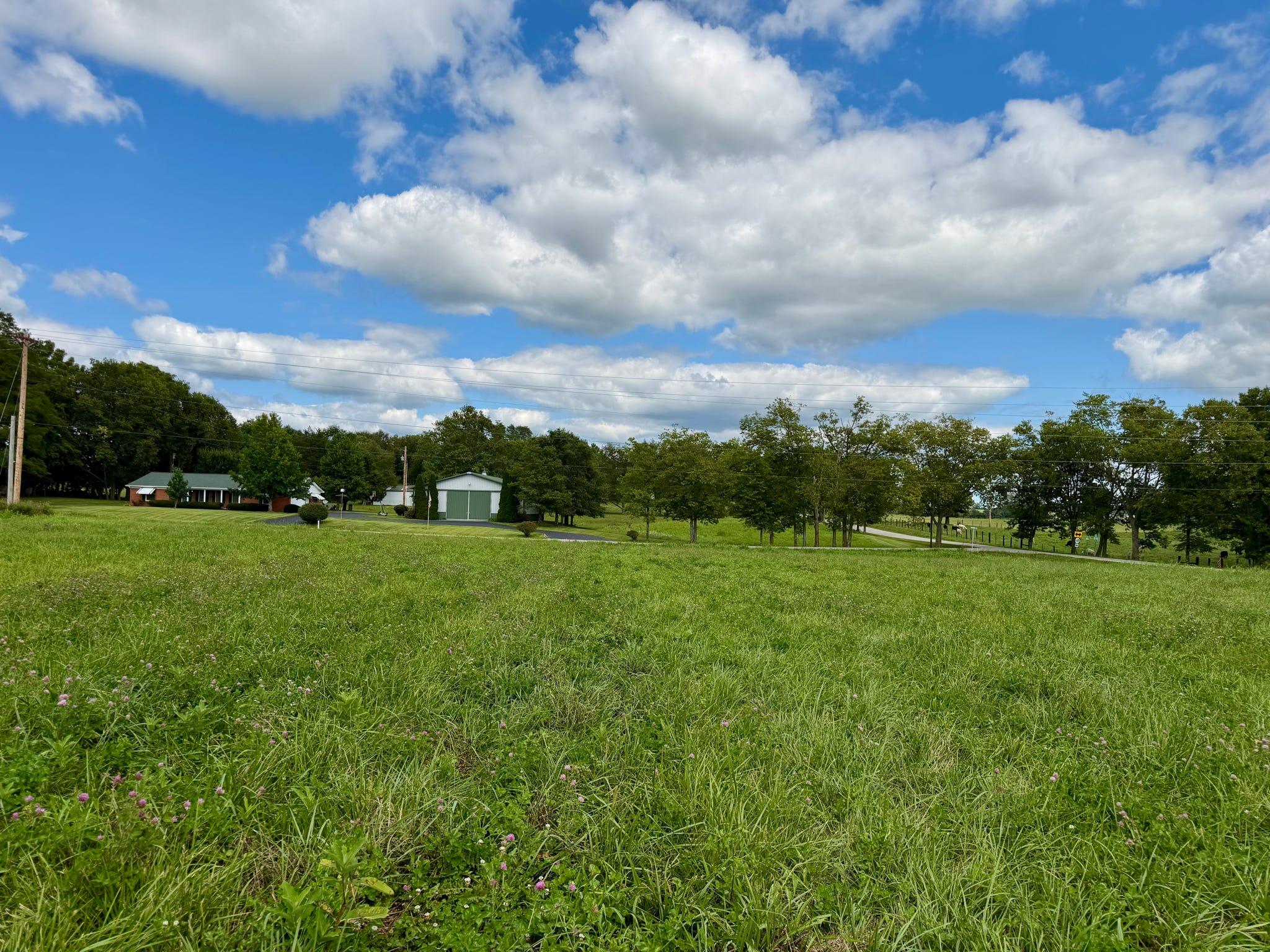 0969 Walnut Grove Road Property Photo 22