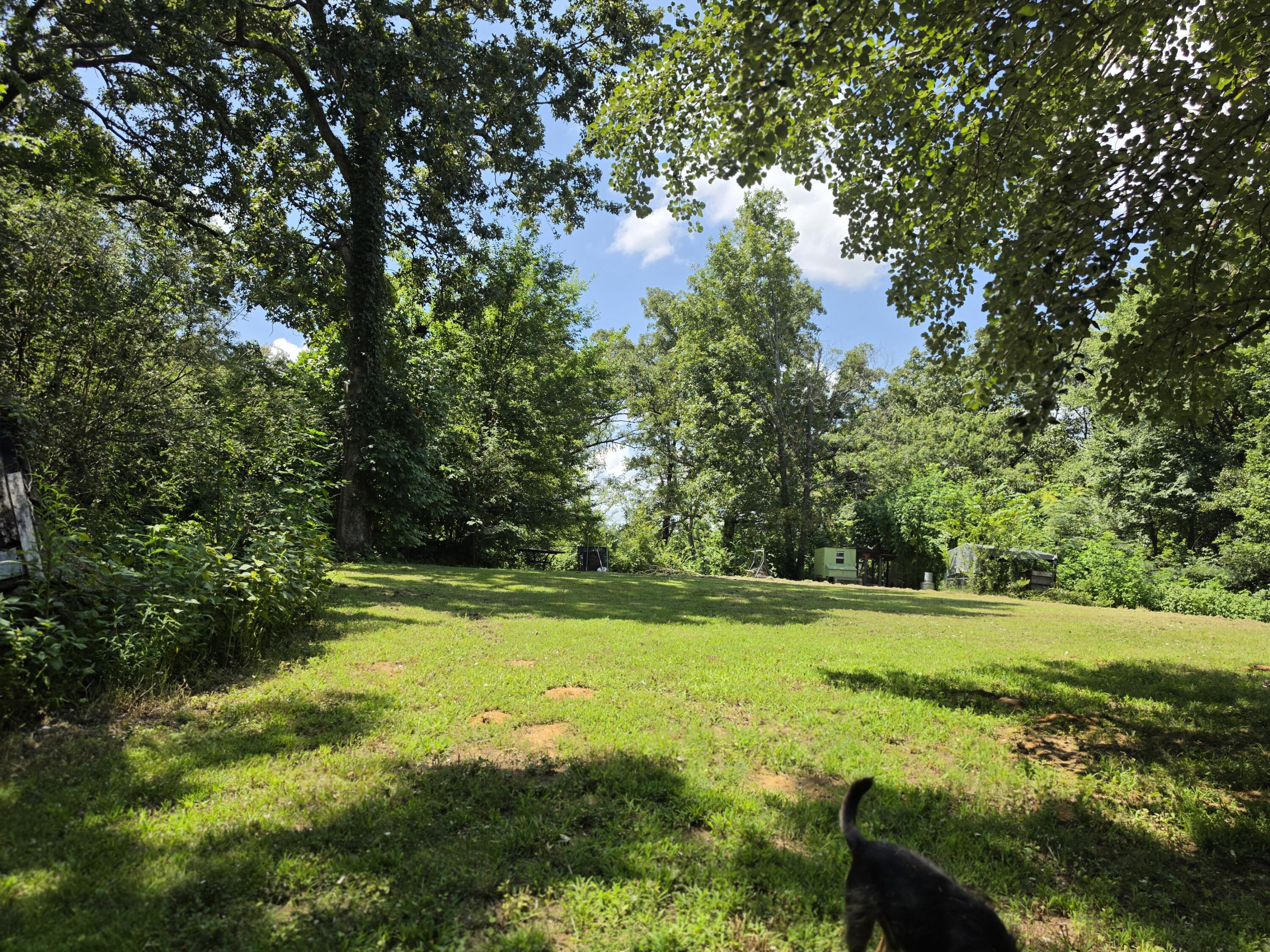 2131 Thurmond Road Property Photo 15