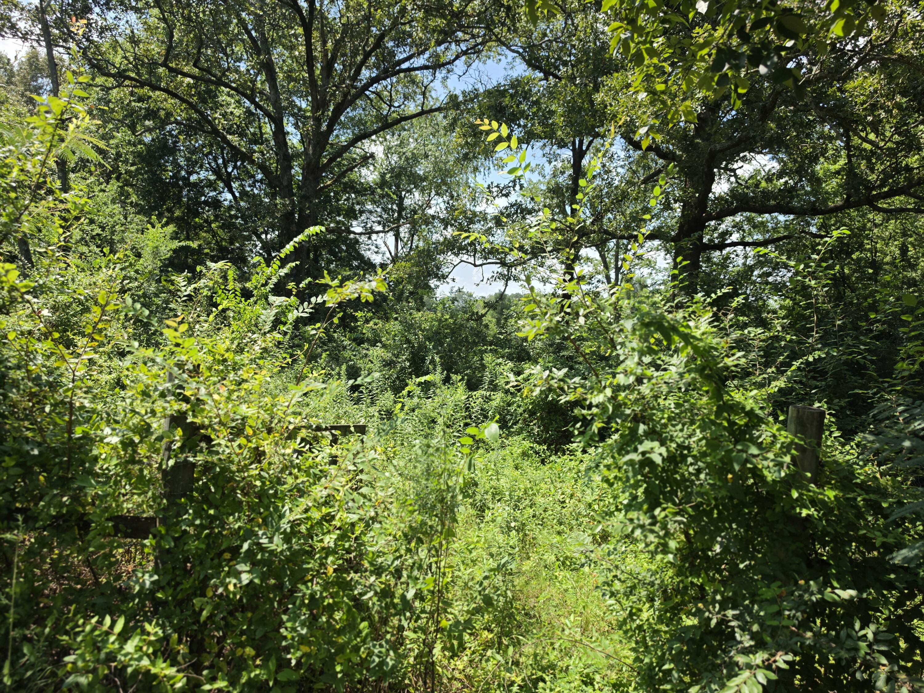 2131 Thurmond Road Property Photo 18