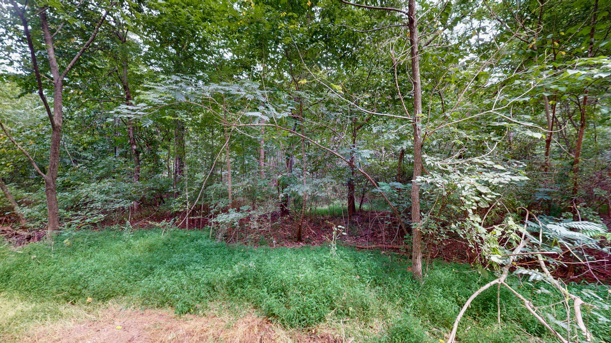2131 Thurmond Road Property Photo 25
